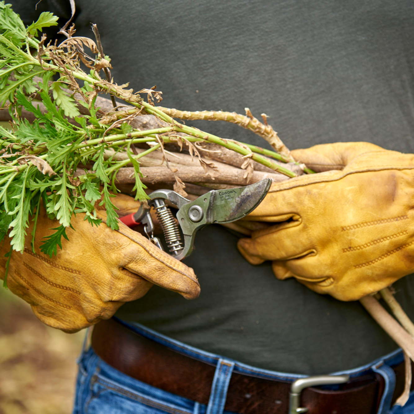 Enlarge Product Preview 5