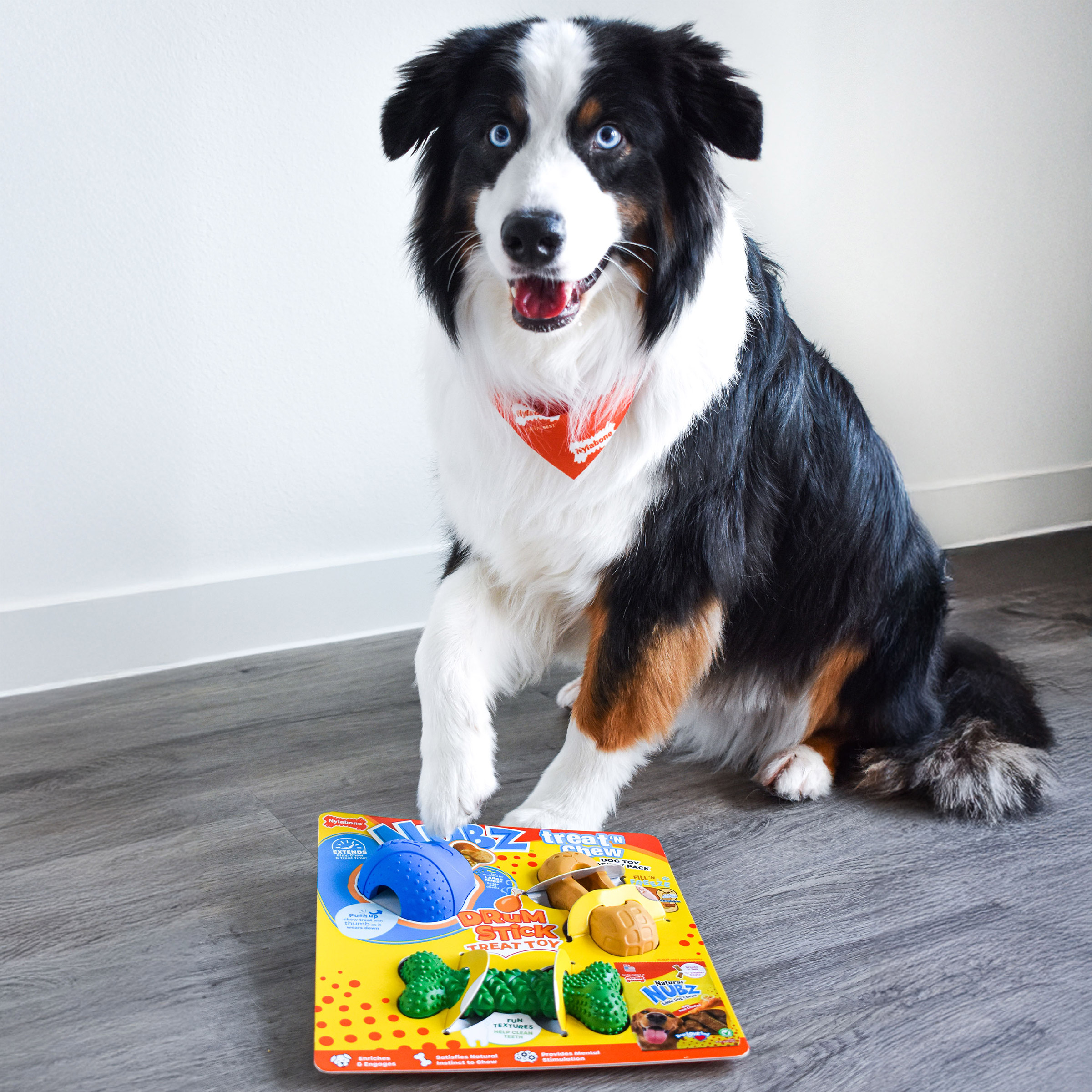 【いぬ3 】 Amazon.co.jp: Ethicalペット54097 Skinneeez Extreme 3 Squeaker