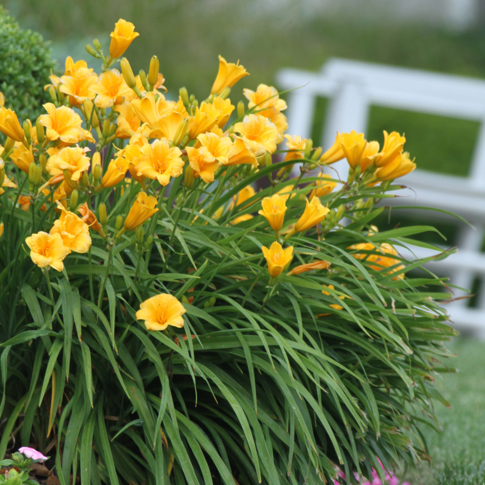 Enlarge Product Preview 31