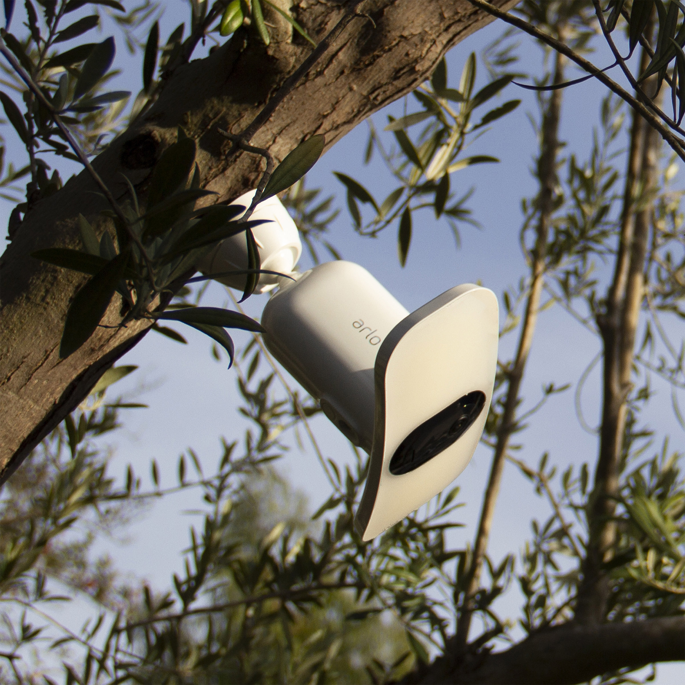 Enlarge Product Preview 6