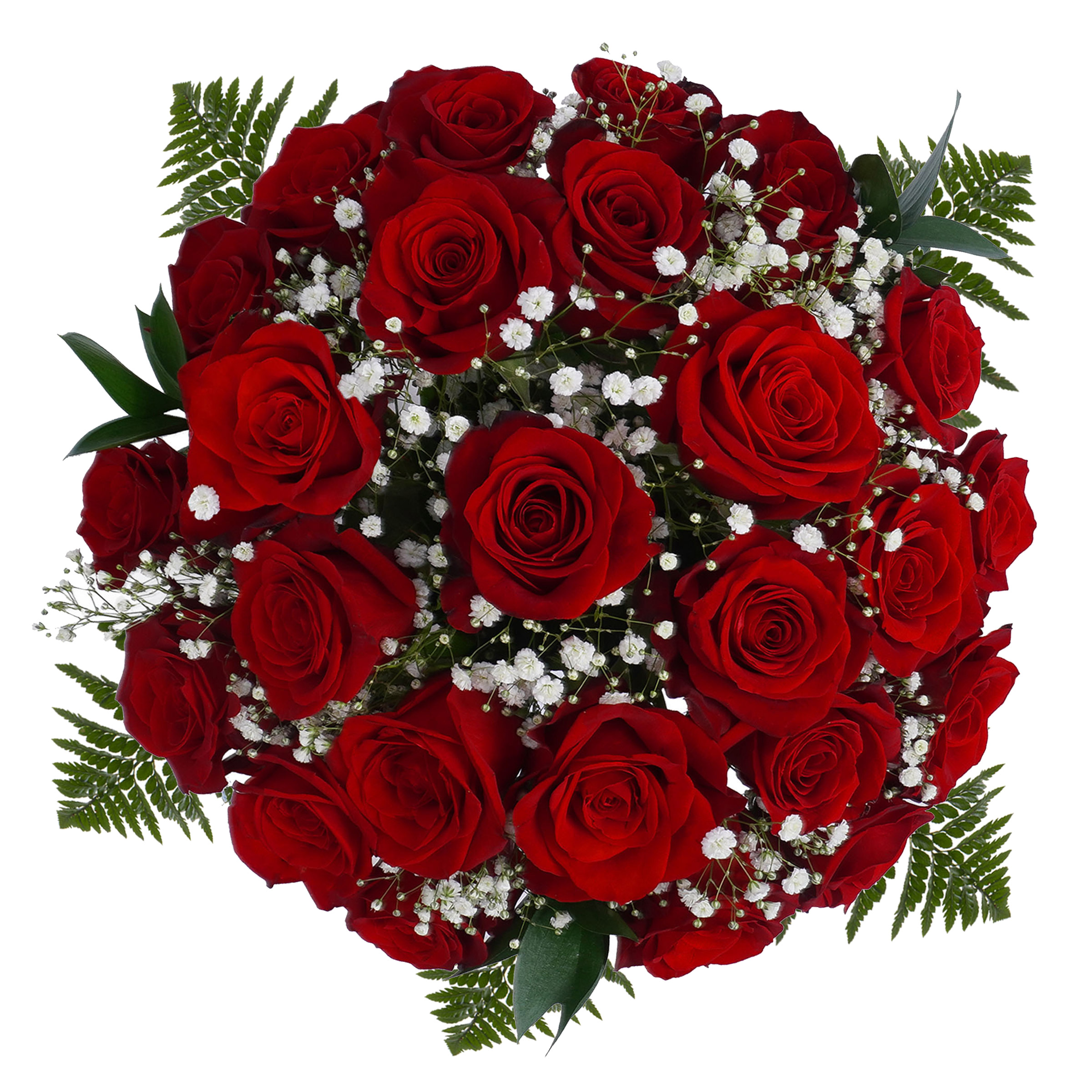 Be Mine 24 Red Roses Bouquet | Costco