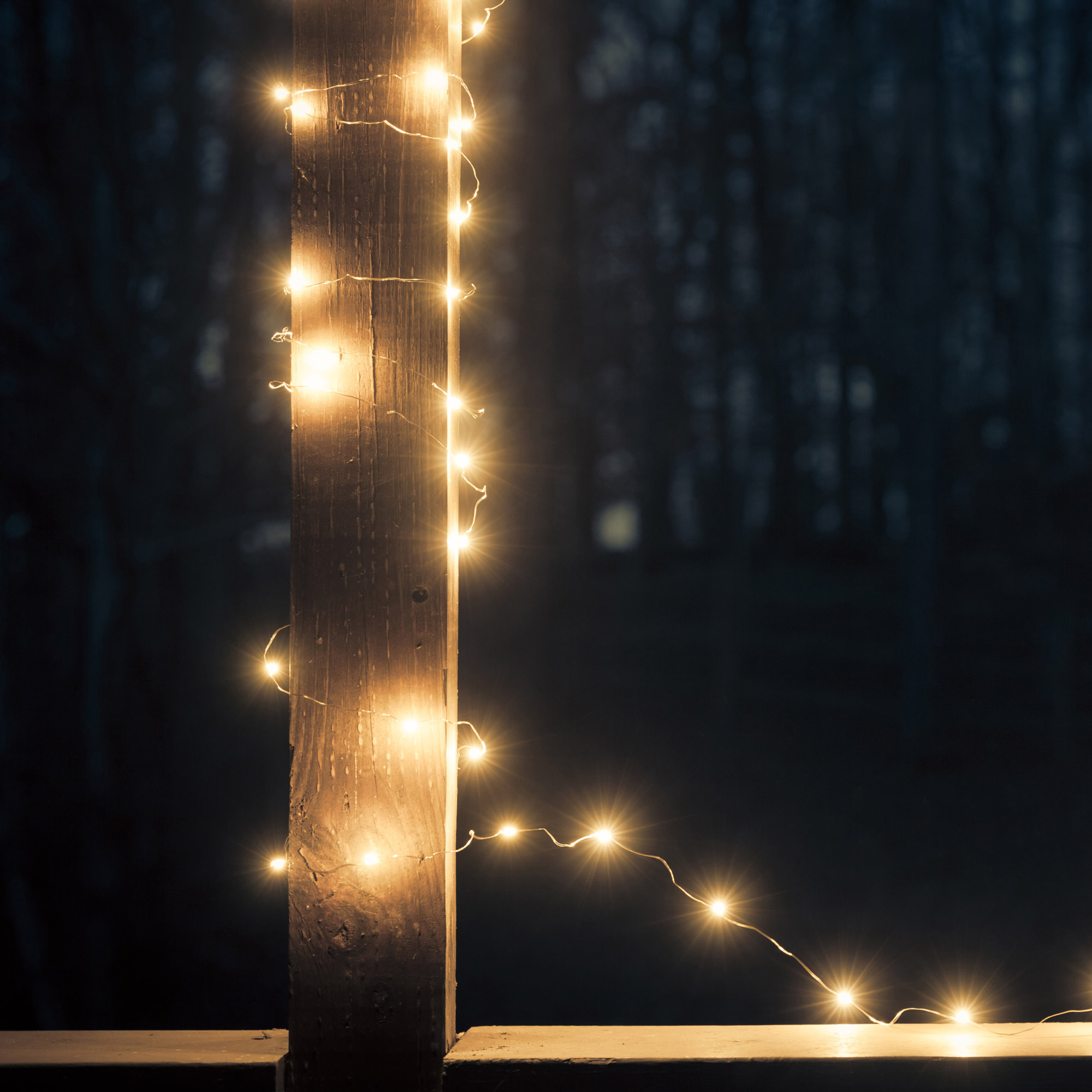 Enlarge Product Preview 8 Successfully Enriched by automation Job.