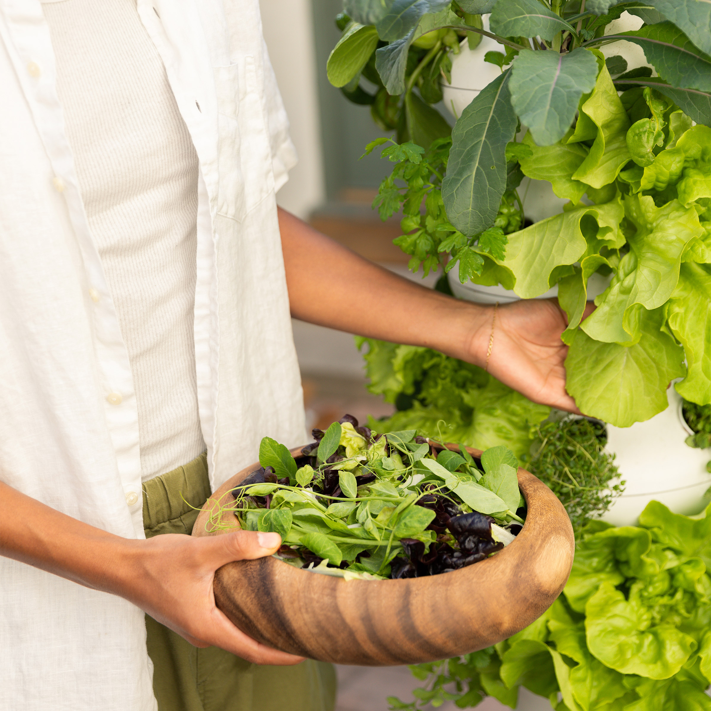 Lettuce Grow Outdoor Farmstand with Plants | Costco