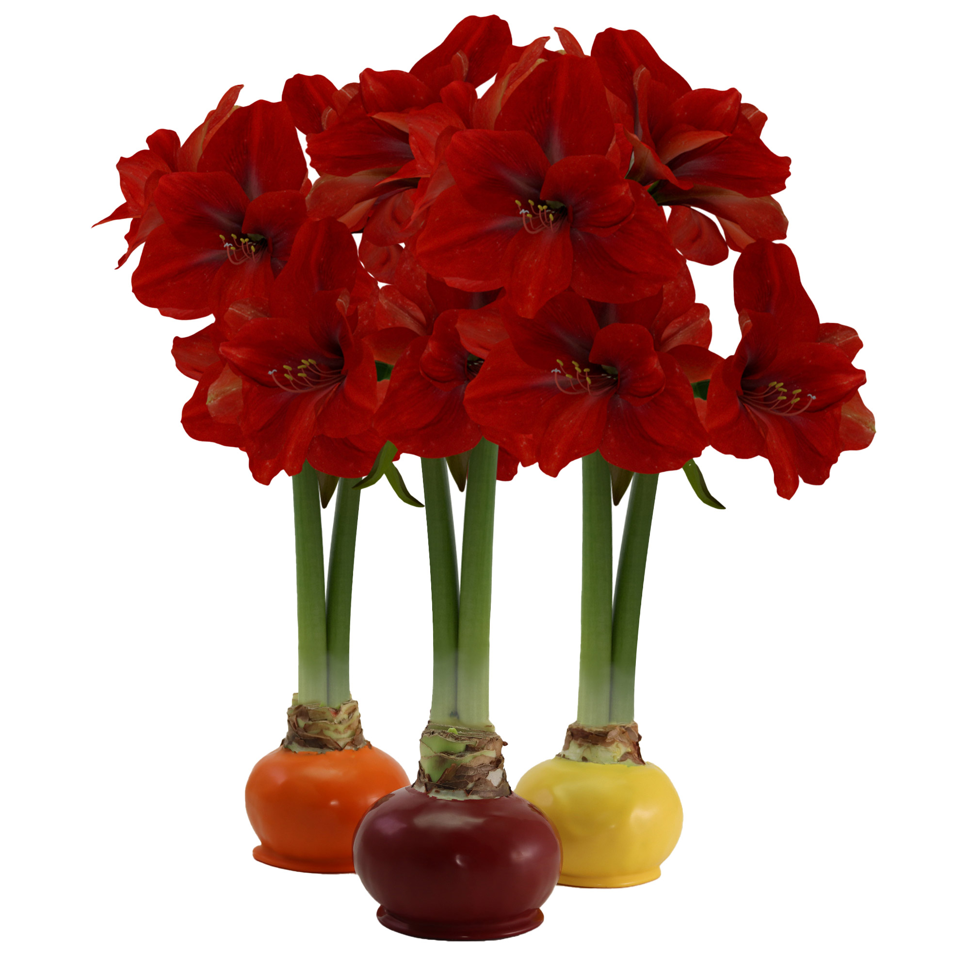 Enlarge Product Preview 3