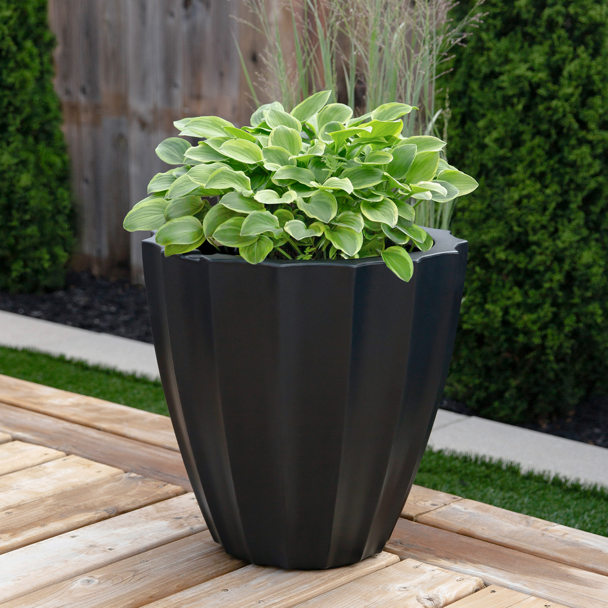 Enlarge Product Preview 3