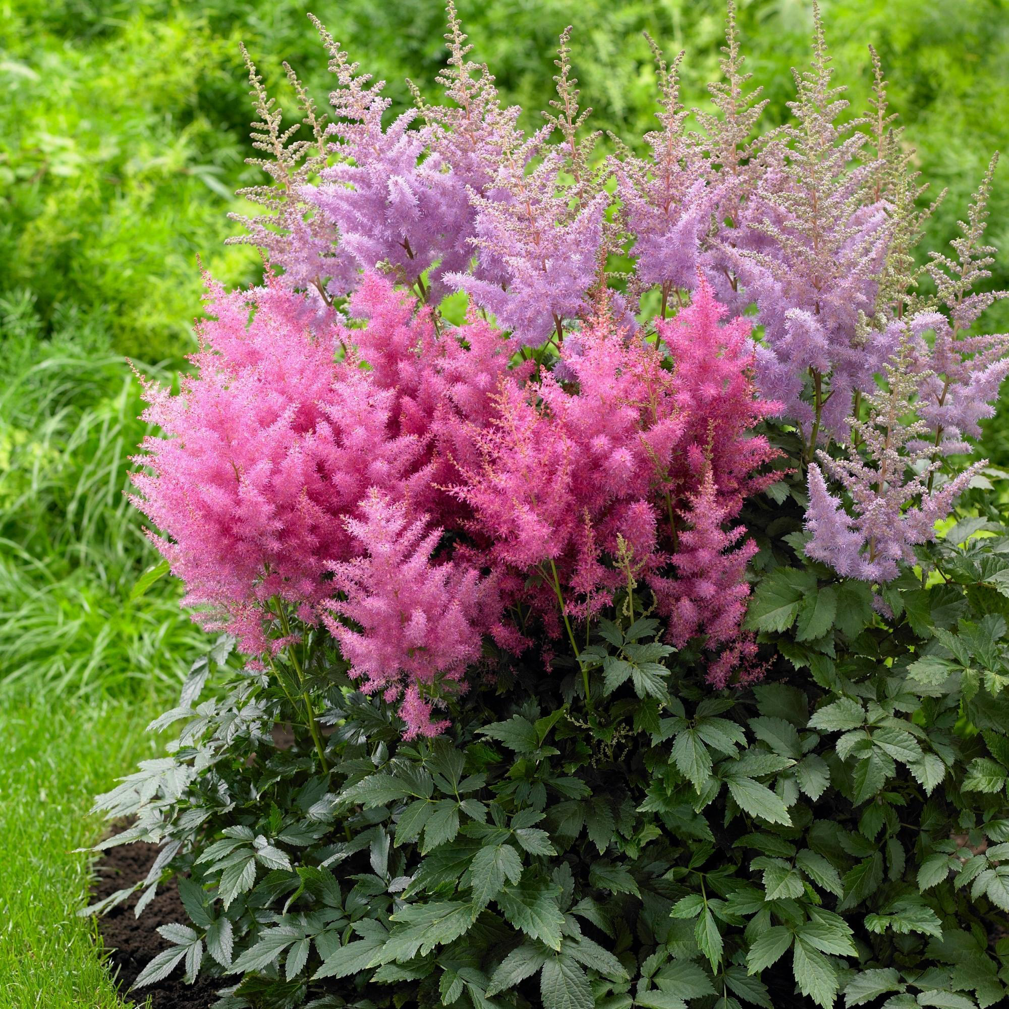 Enlarge Product Preview 18