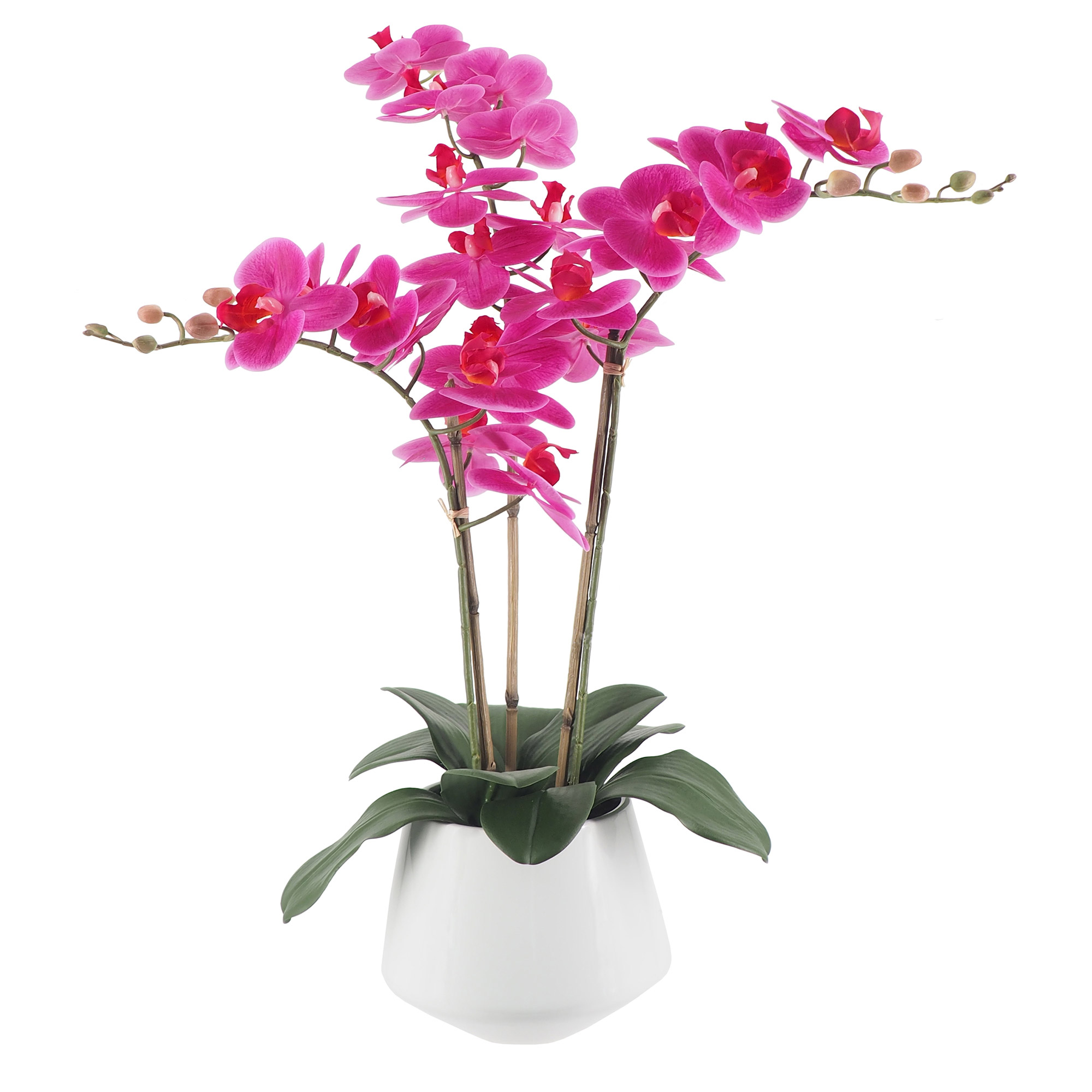 Enlarge Product Preview 4