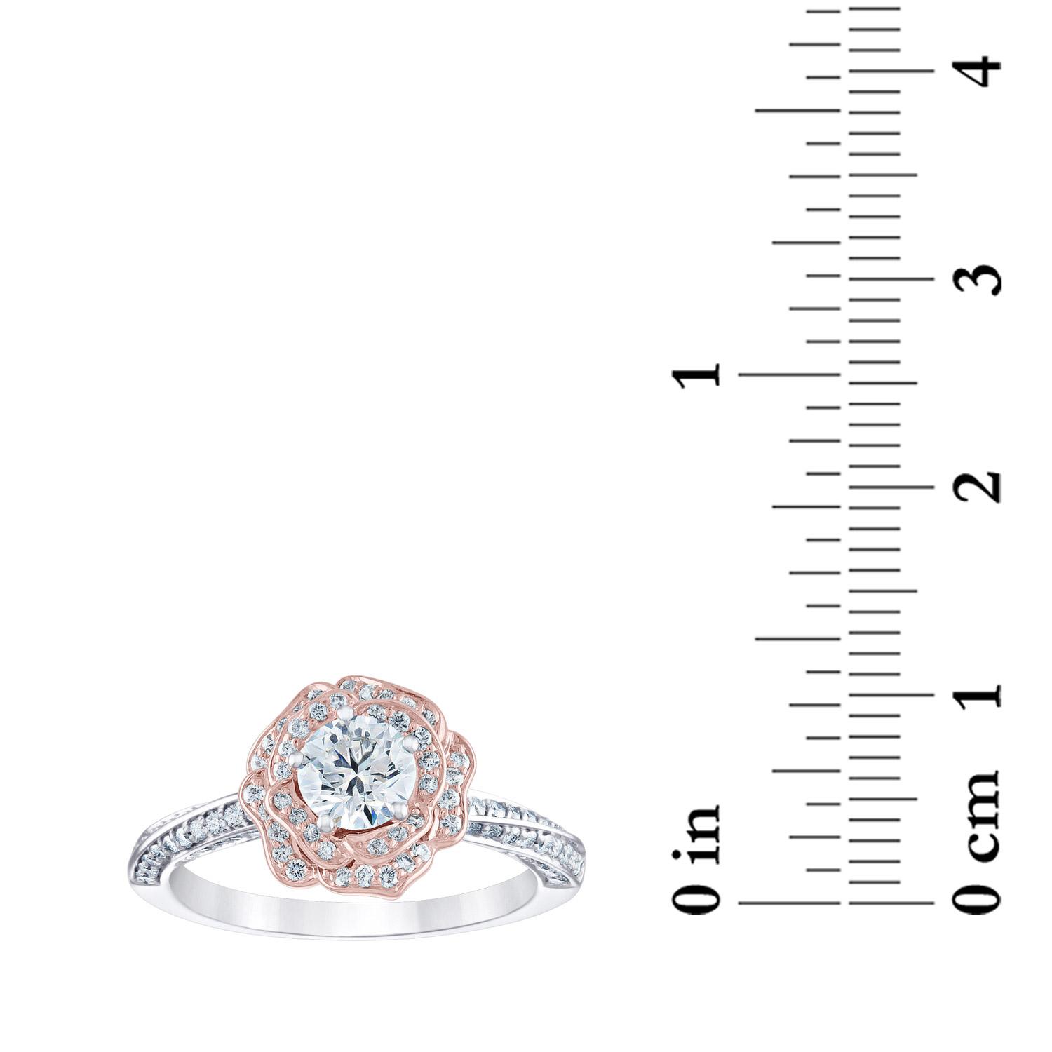 Enlarge Product Preview 4