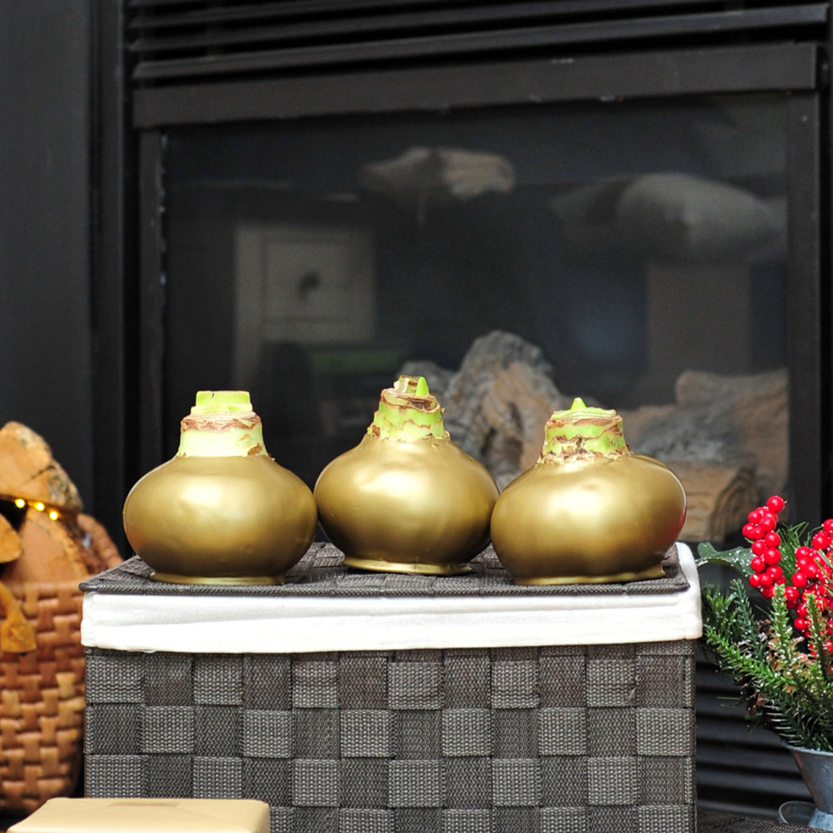 Enlarge Product Preview 5