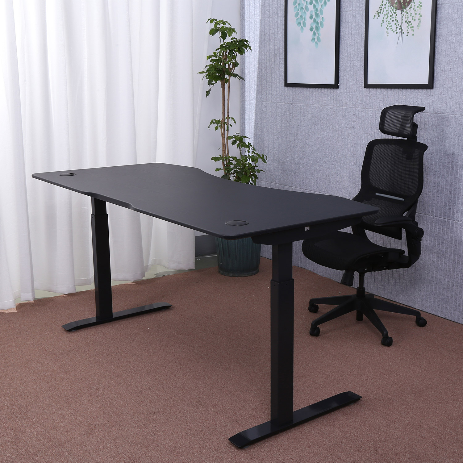 ApexDesk Elite Series 71” x 33” Height Adjustable Desk
