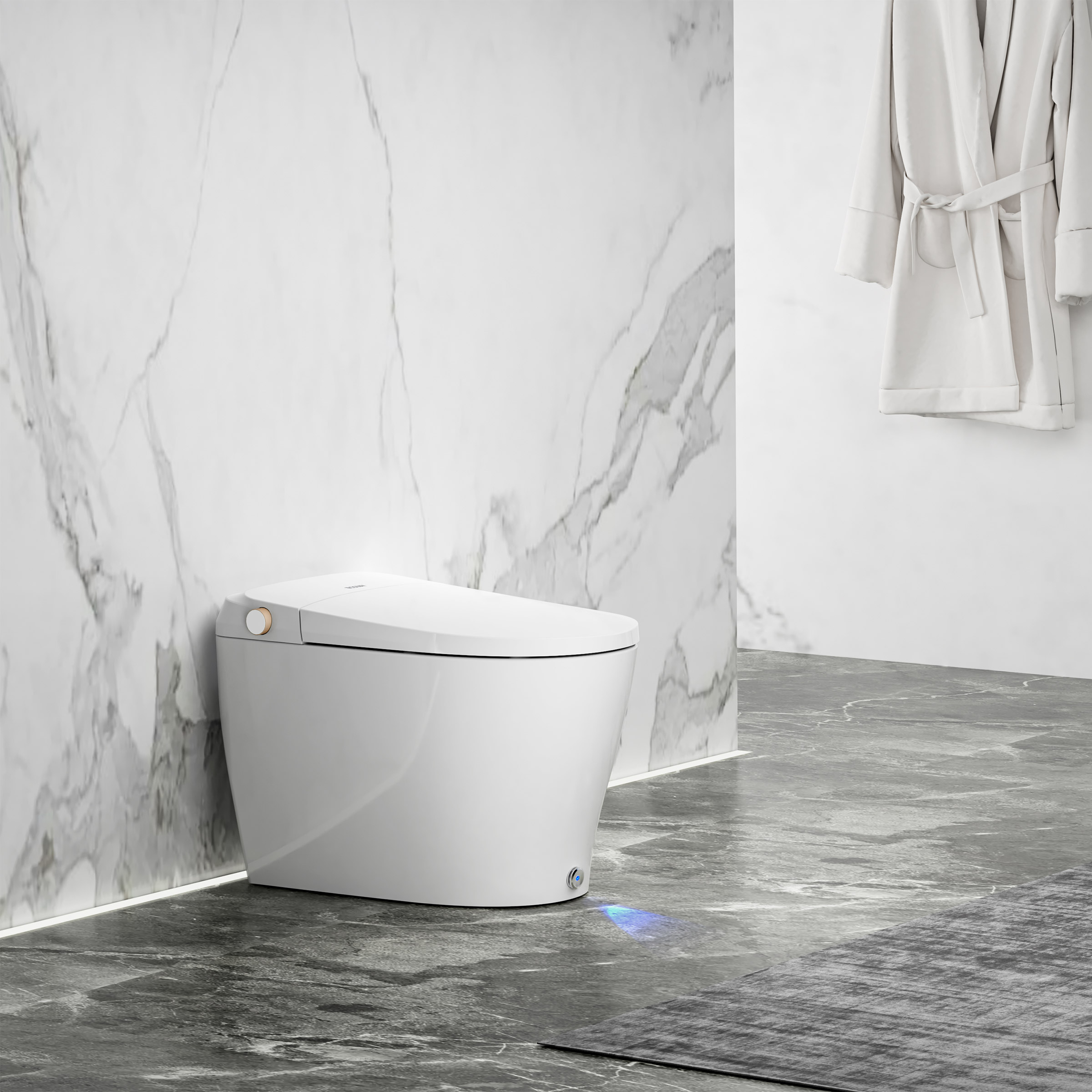 Ecoway Huron Integrated Smart Toilet With Built-in Bidet