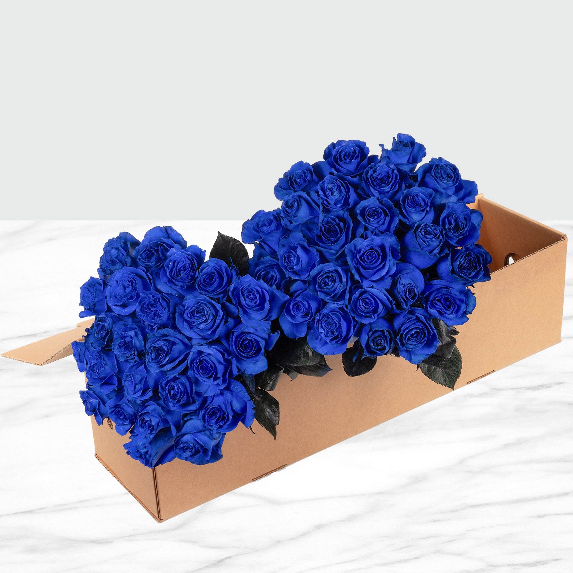 Enlarge Product Preview 6