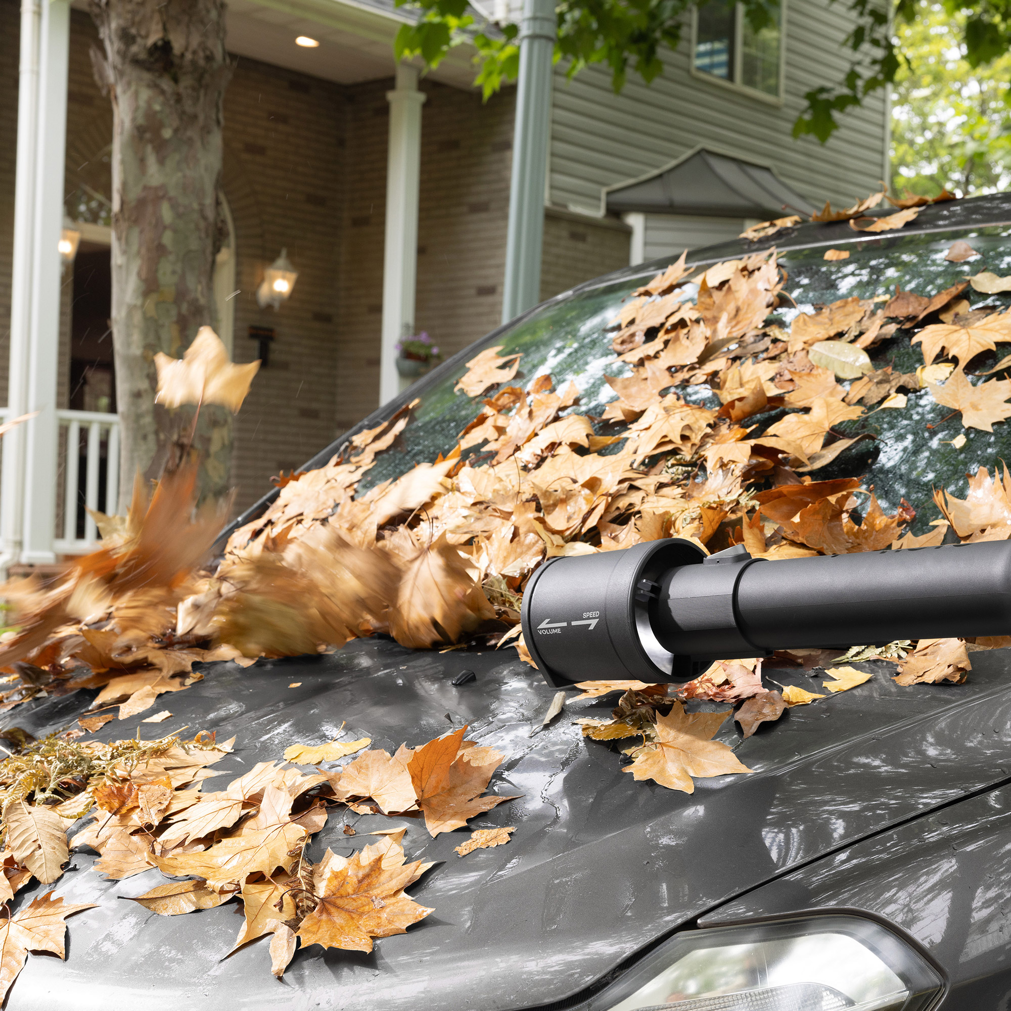 Enlarge Product Preview 8 Successfully Enriched by automation Job.