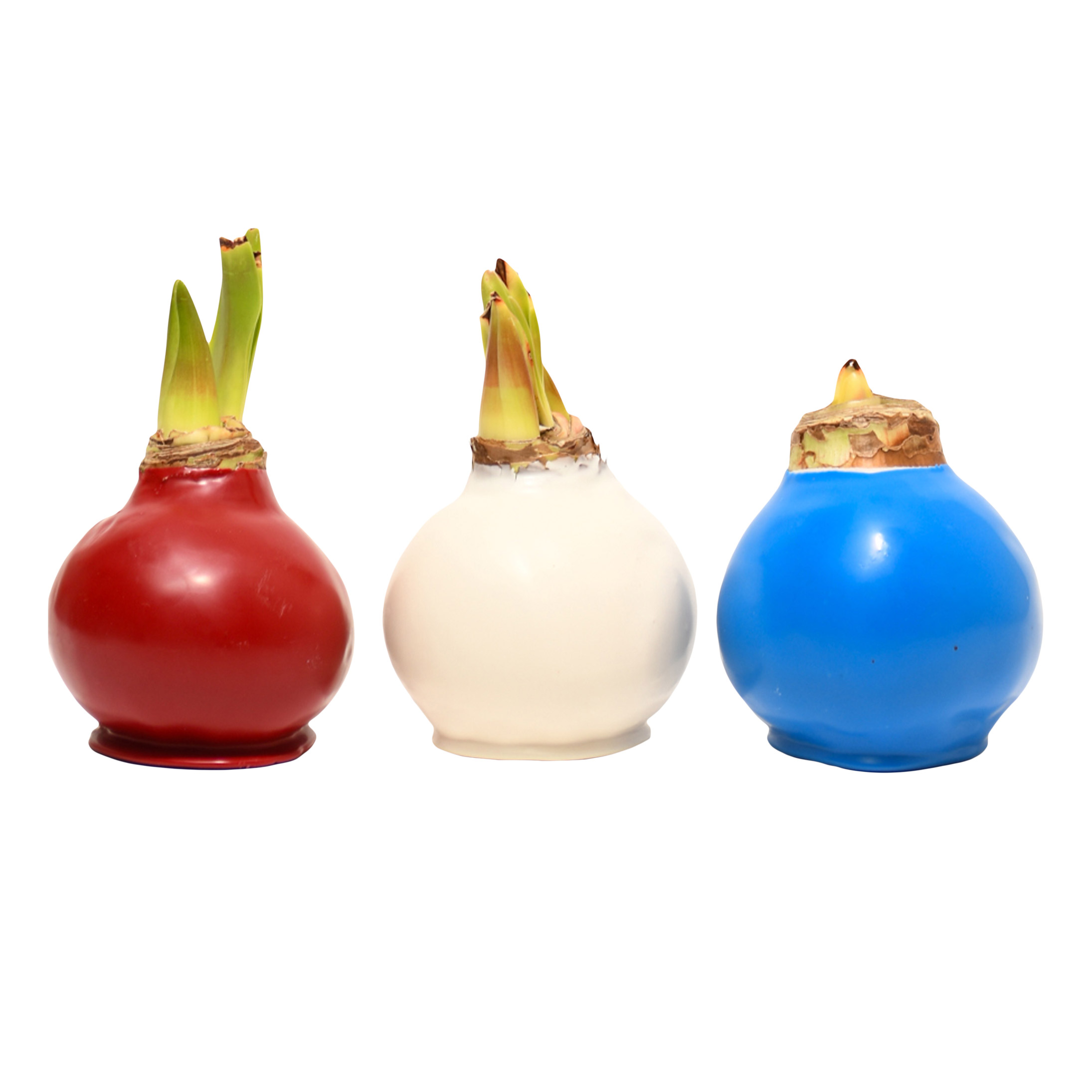 Enlarge Product Preview 5 Successfully Enriched by automation Job.