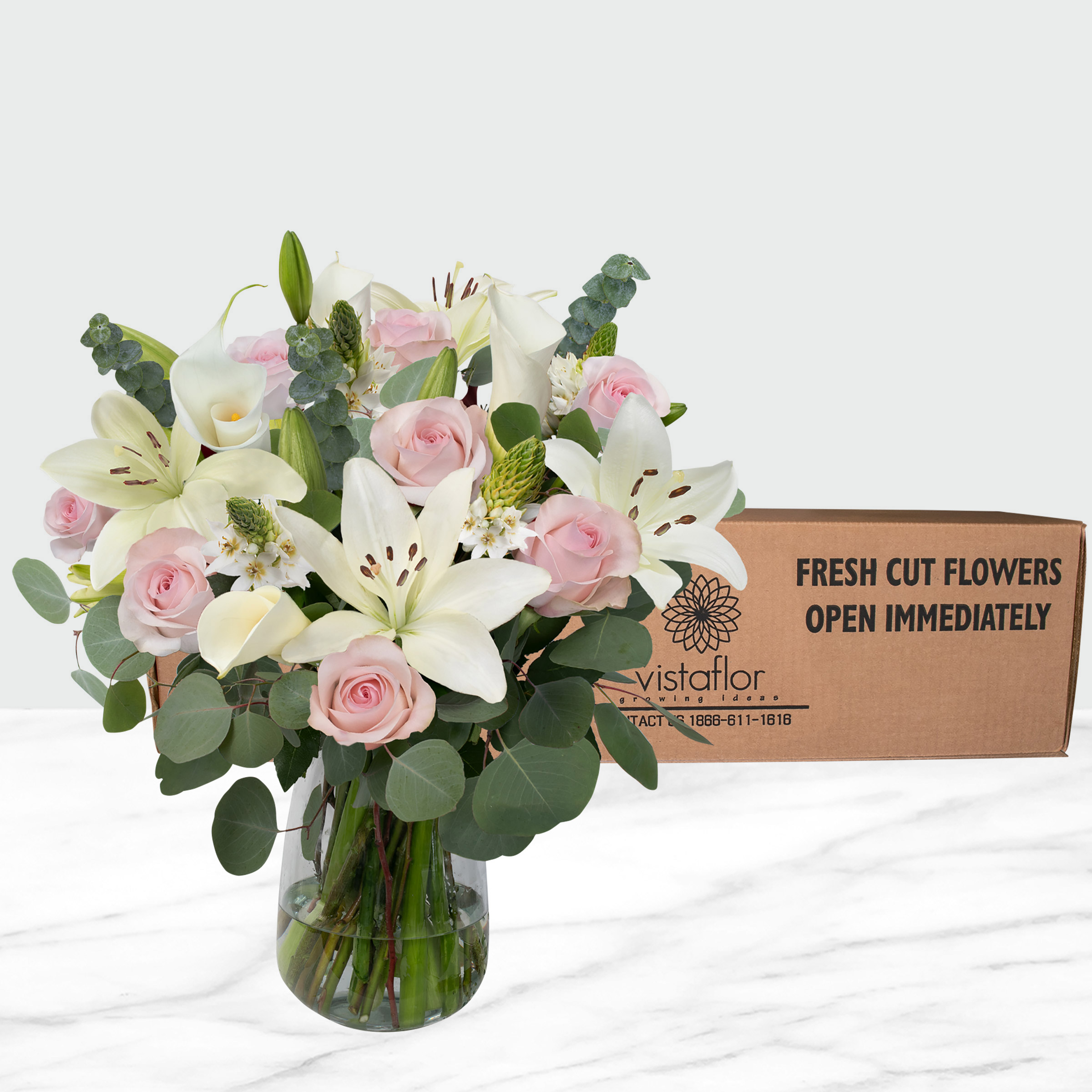 Enlarge Product Preview 4