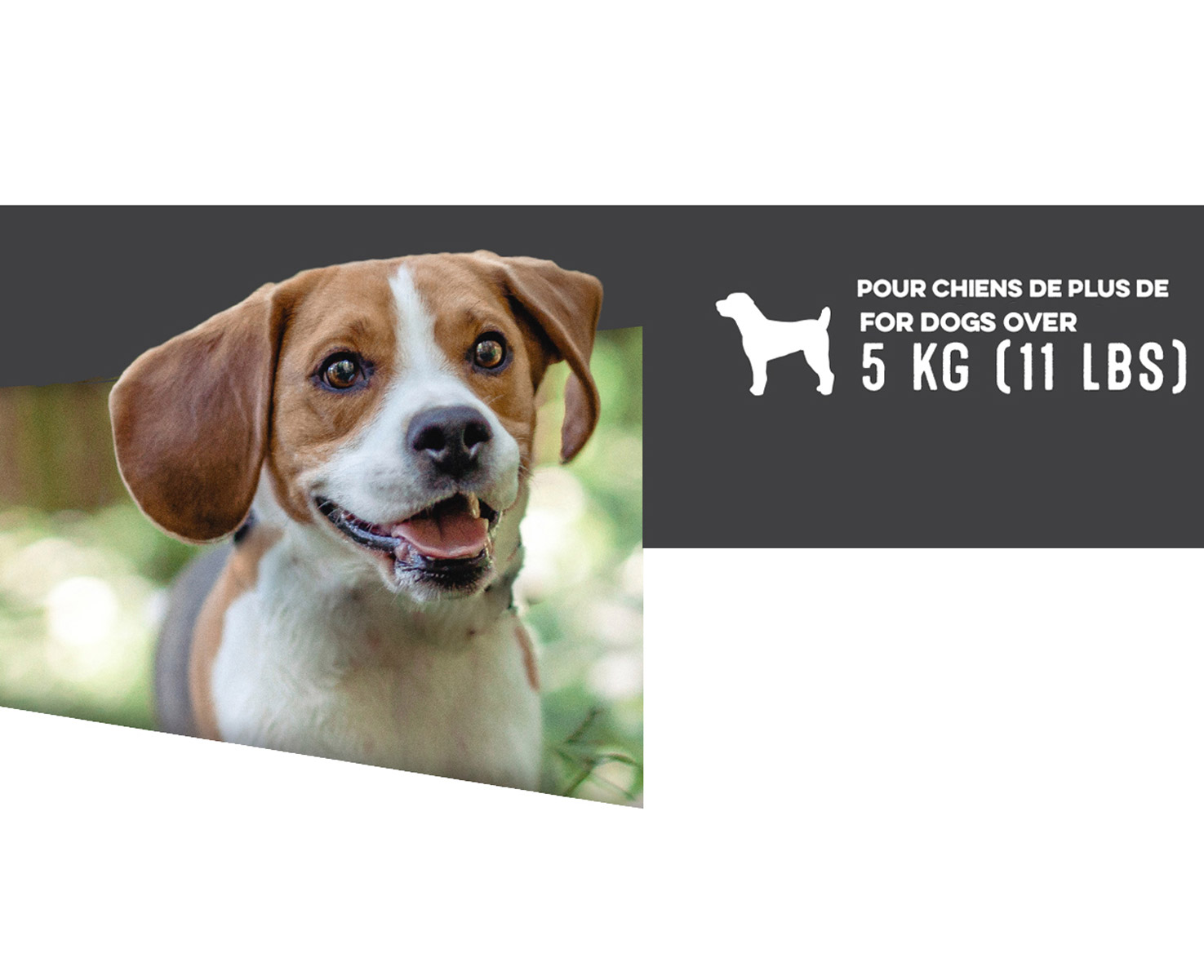 Zeus Ranger SC Anti-Bark Collar with Static Correction | Costco