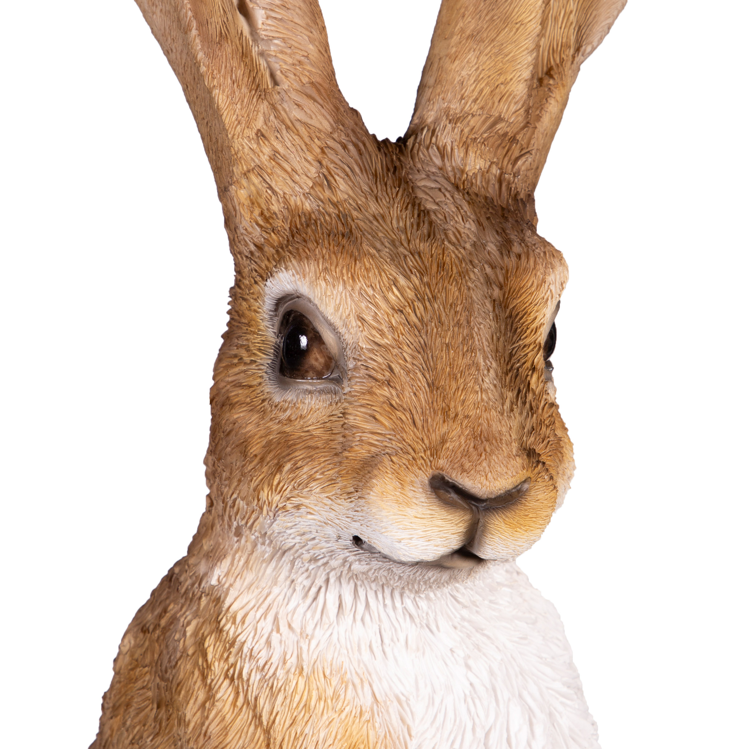 Enlarge Product Preview 5 Successfully Enriched by automation Job.