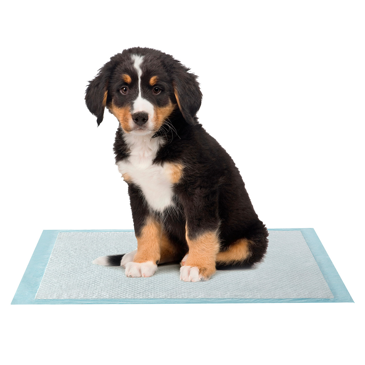 Enlarge Product Preview 3