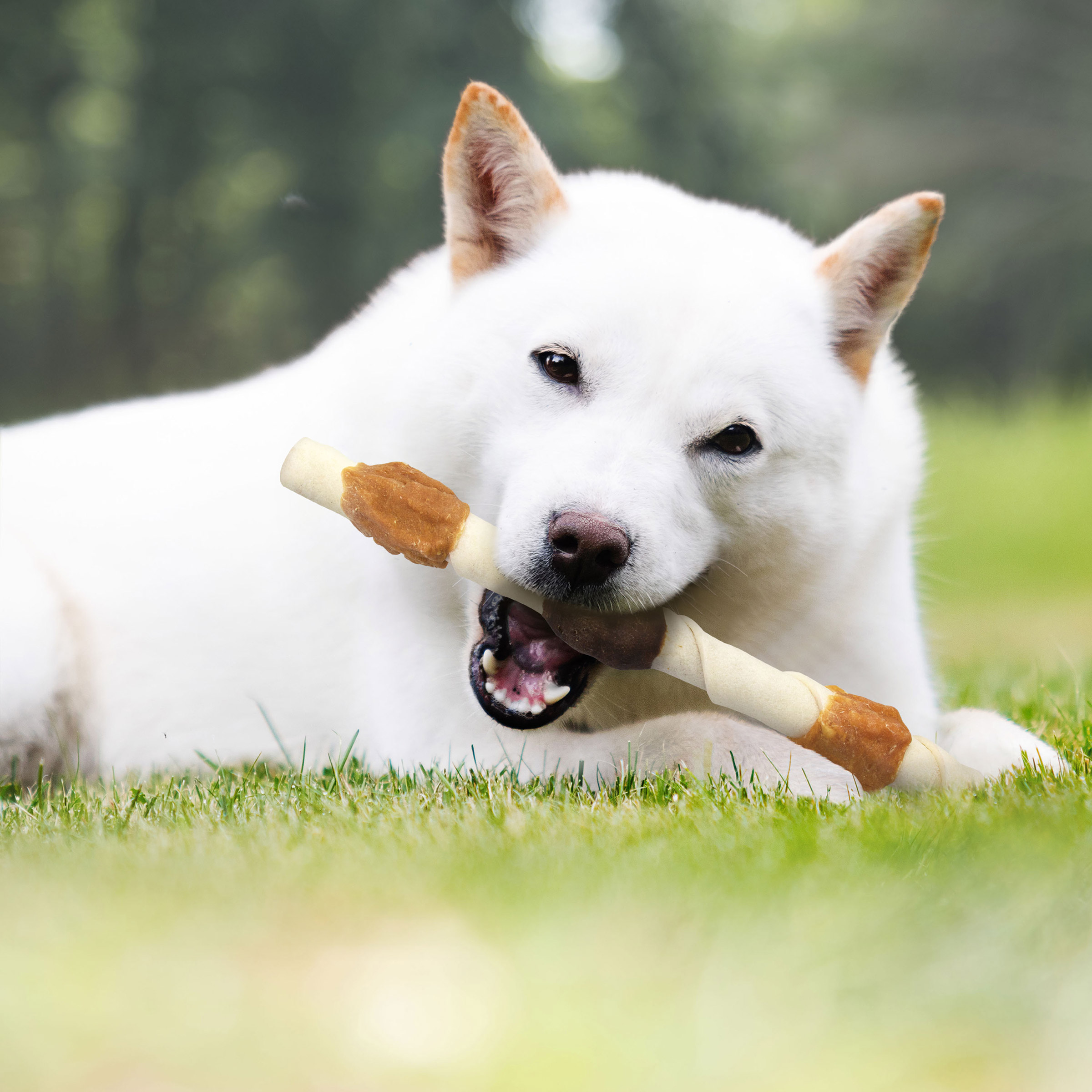 Enlarge Product Preview 4