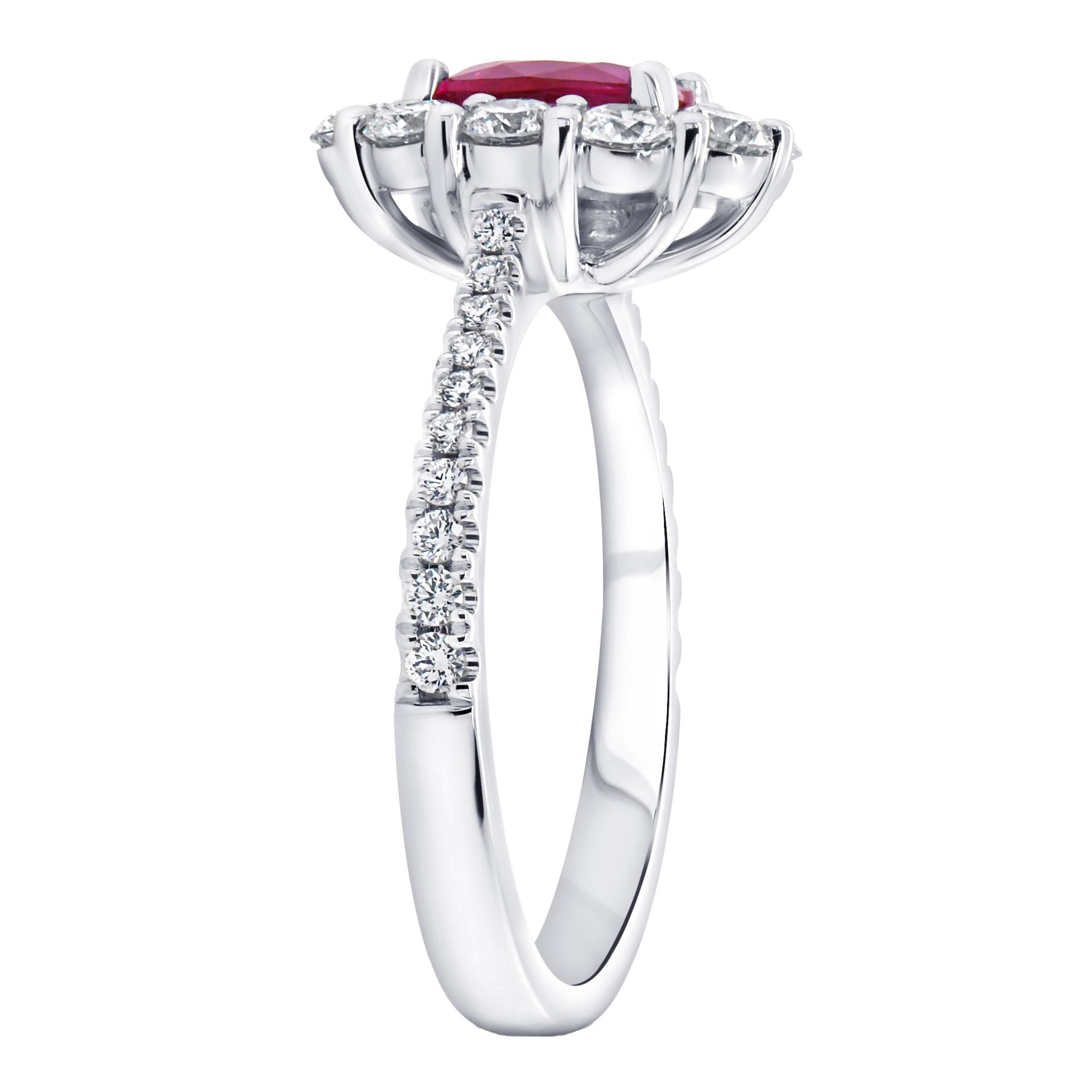 Enlarge Product Preview 2 Successfully Enriched by automation Job.