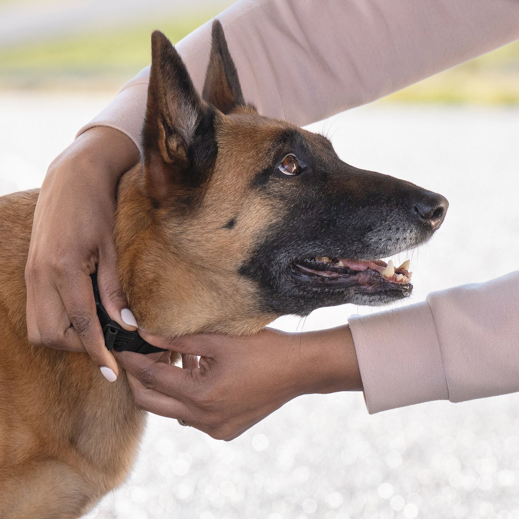 Enlarge Product Preview 6 Successfully Enriched by automation Job.