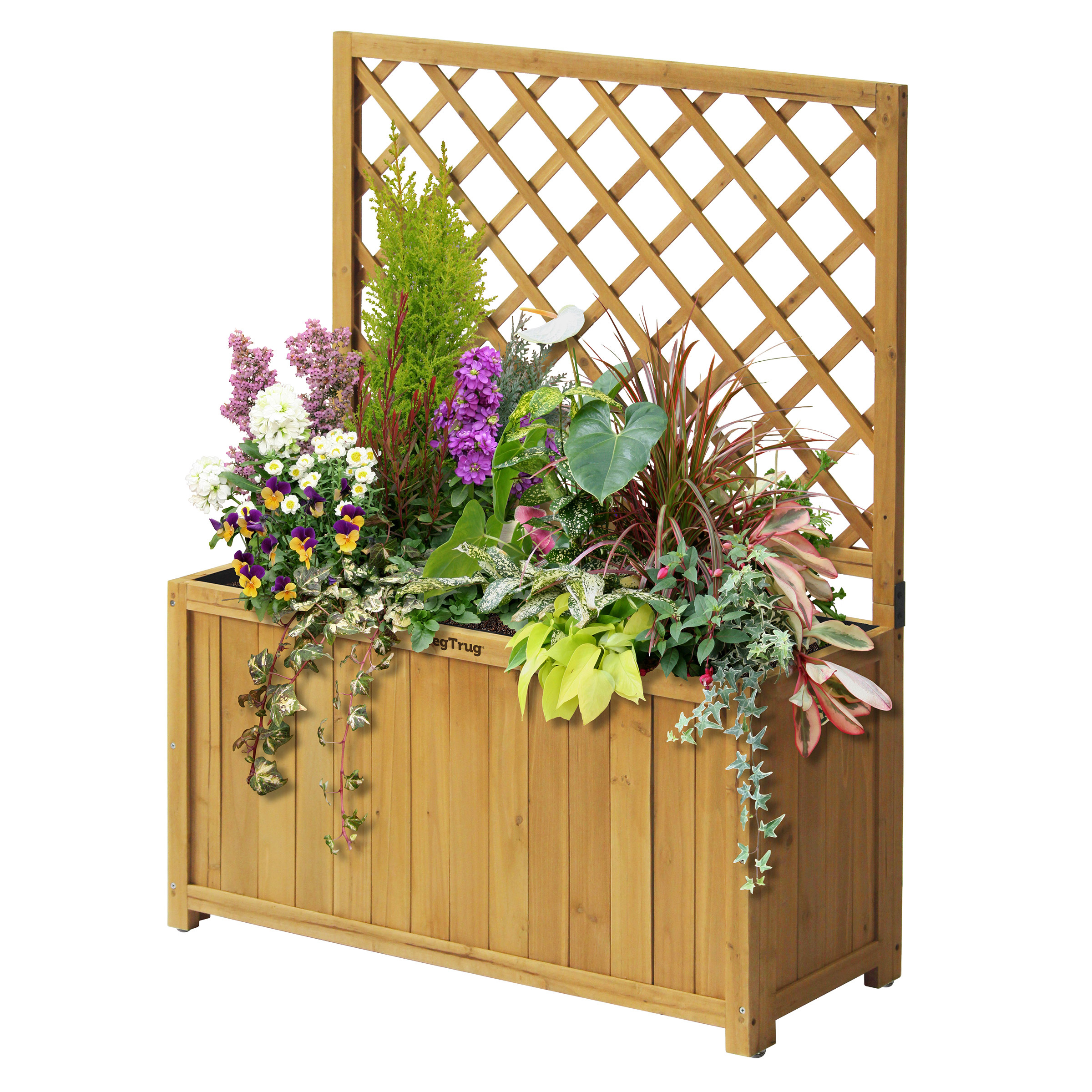 VegTrug Cedar Planter Box with Trellis and Self Watering Kit