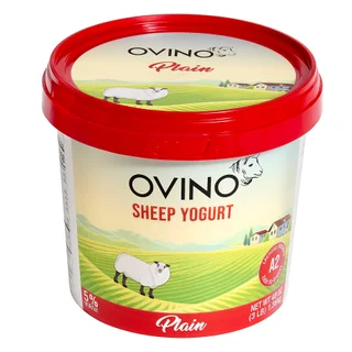 OVINO PLAIN SHEEP MILK YOGURT 48 OZ