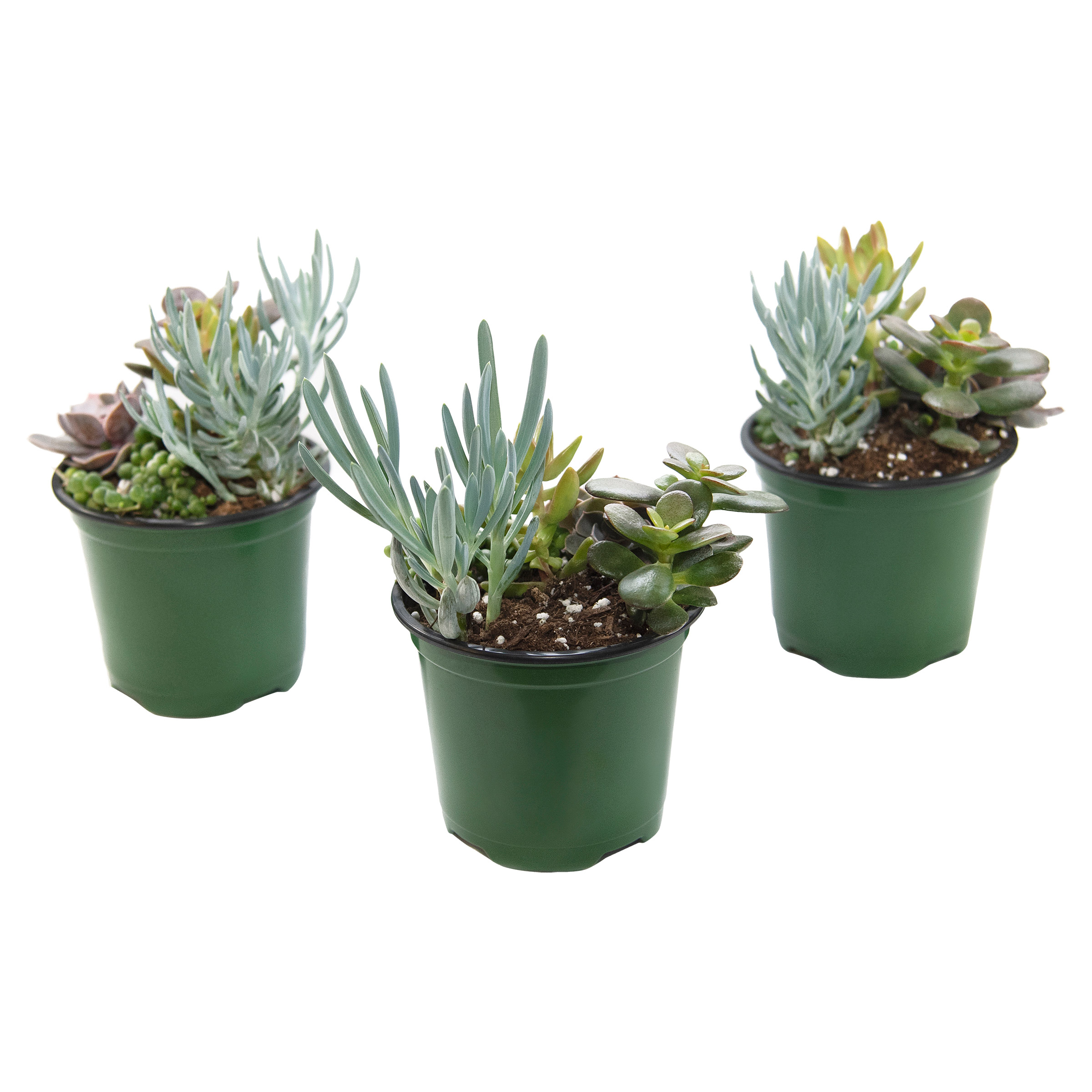 planter with grow light Vita Grow Light Bulb White Wide
