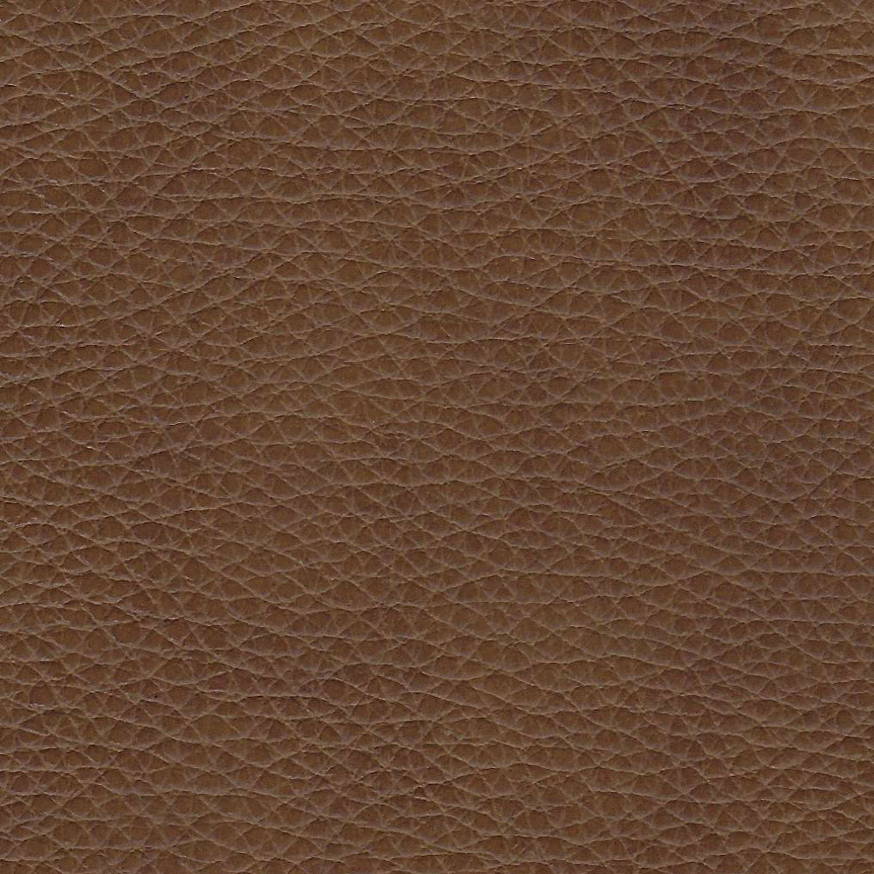 Enlarge Product Preview 8