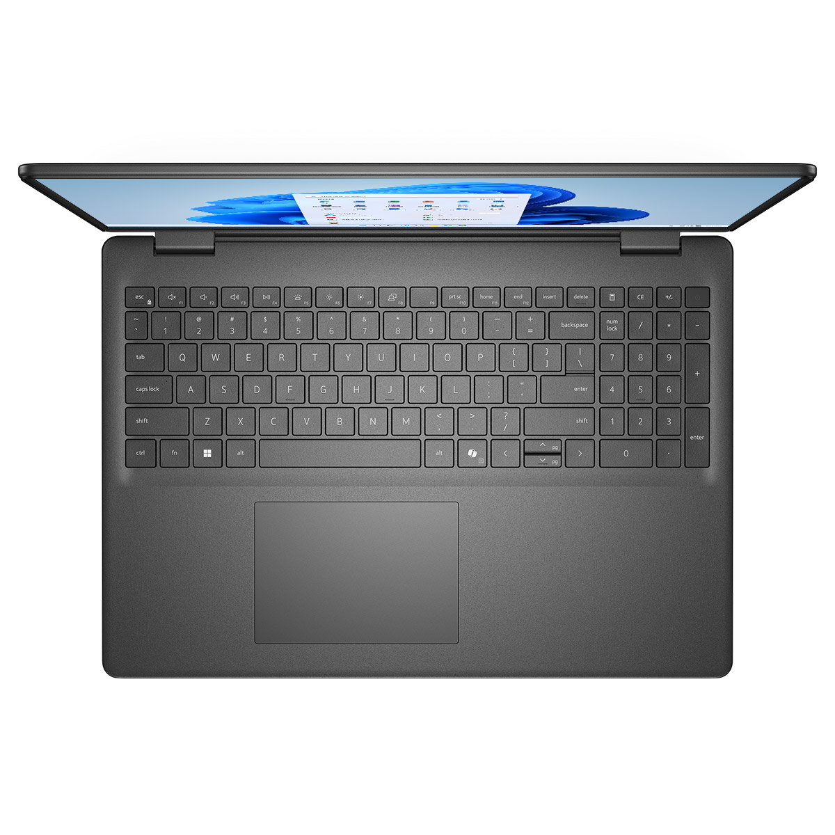 Enlarge Product Preview 4 Successfully Enriched by automation Job.