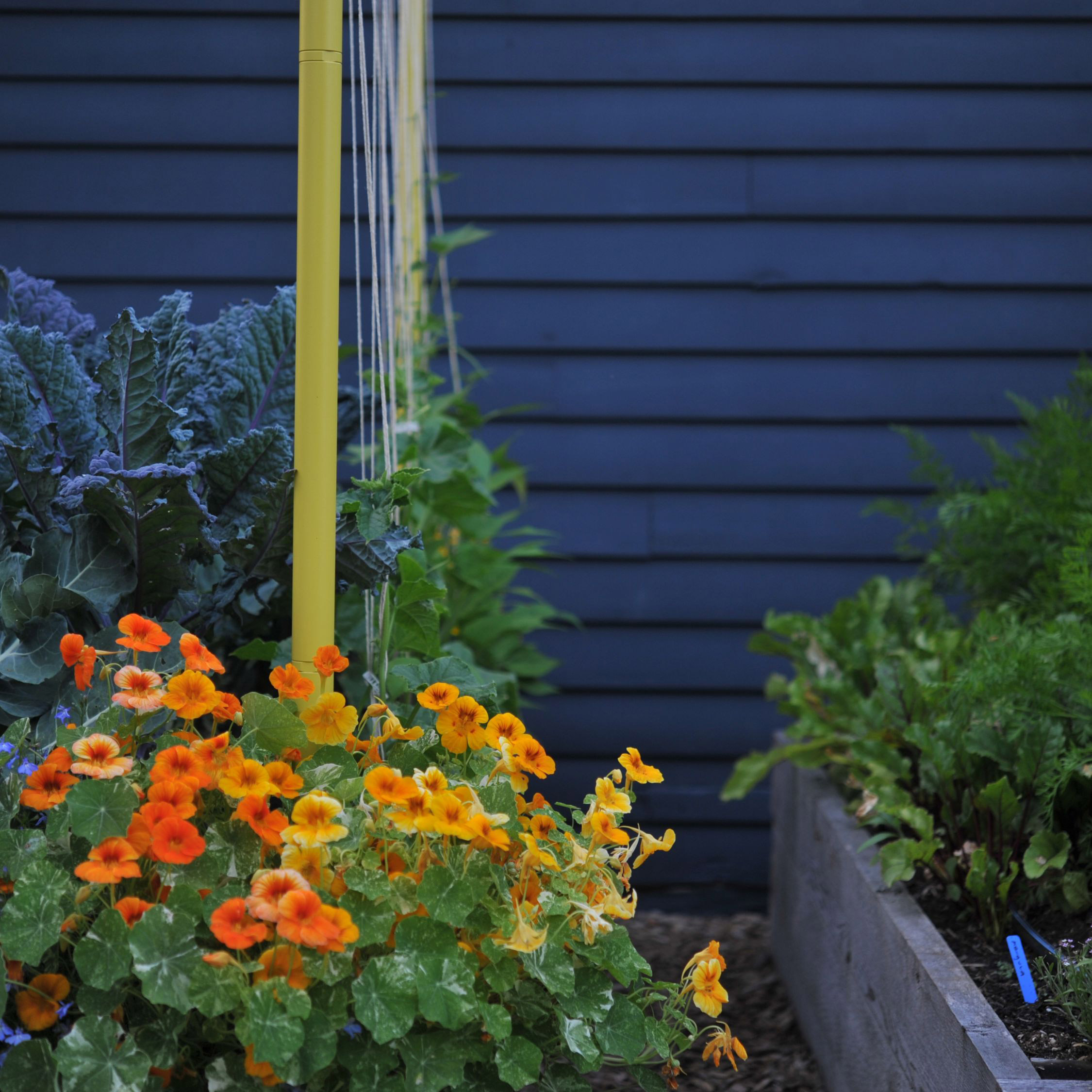 Enlarge Product Preview 3 Successfully Enriched by automation Job.