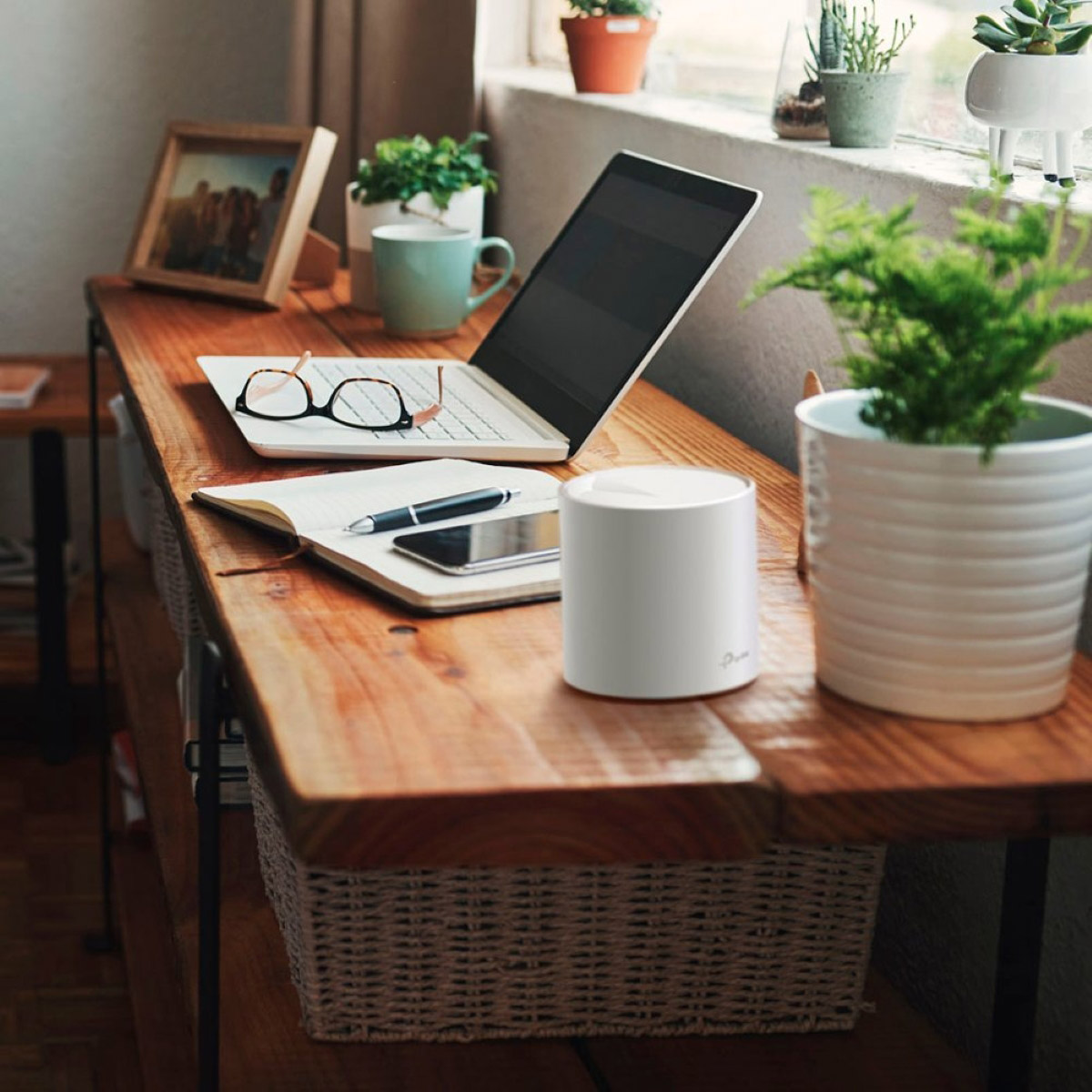 Enlarge Product Preview 6 Successfully Enriched by automation Job.