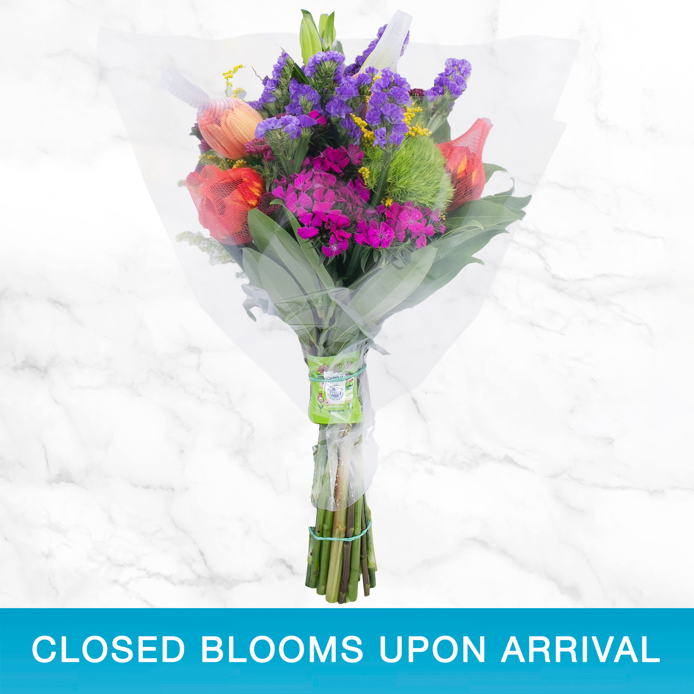 Enlarge Product Preview 2