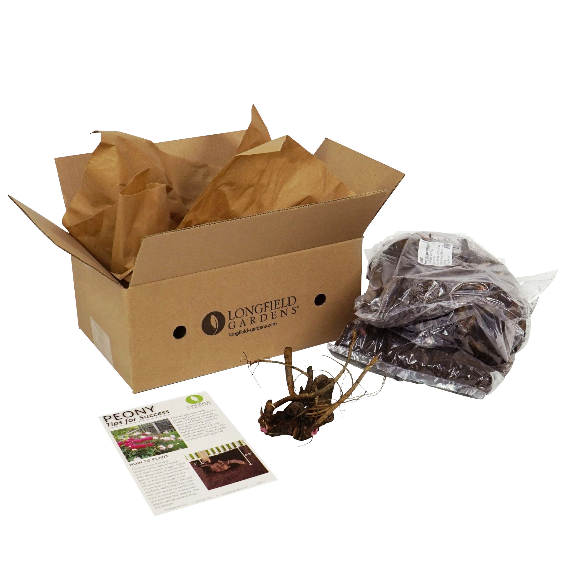 Enlarge Product Preview 6