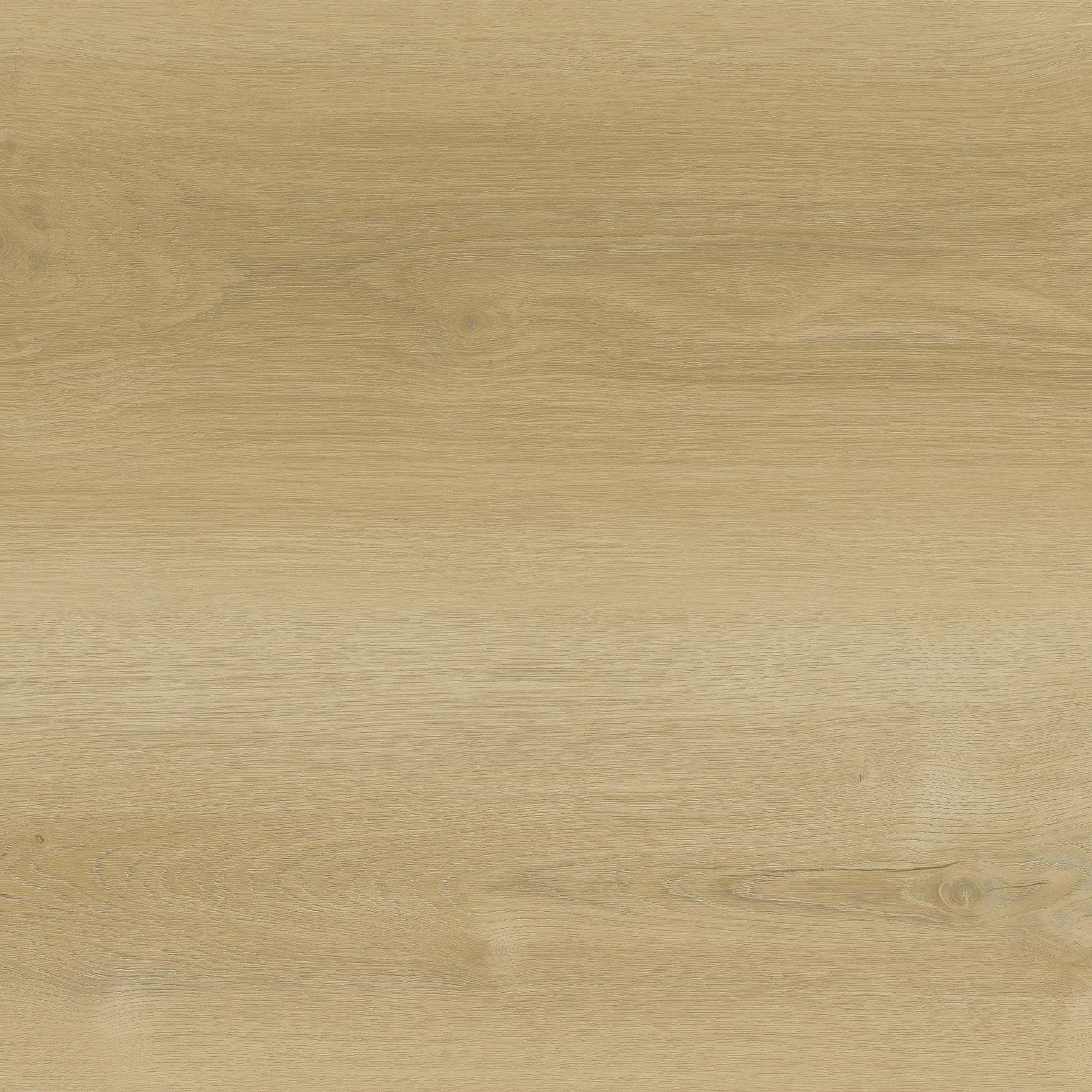 Enlarge Product Preview 5