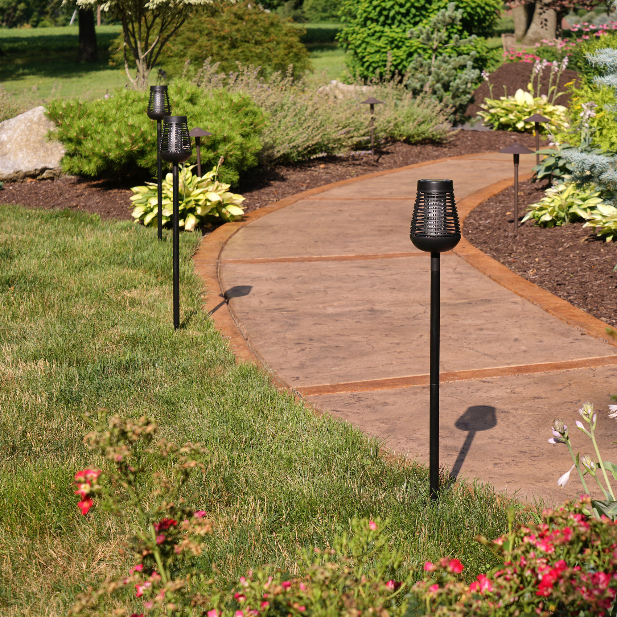 Enlarge Product Preview 3