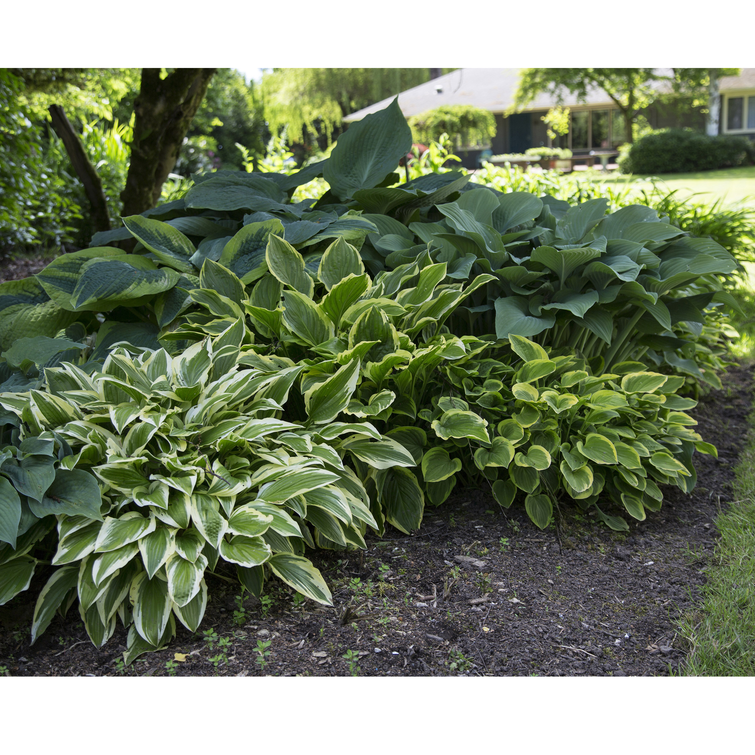 Enlarge Product Preview 2