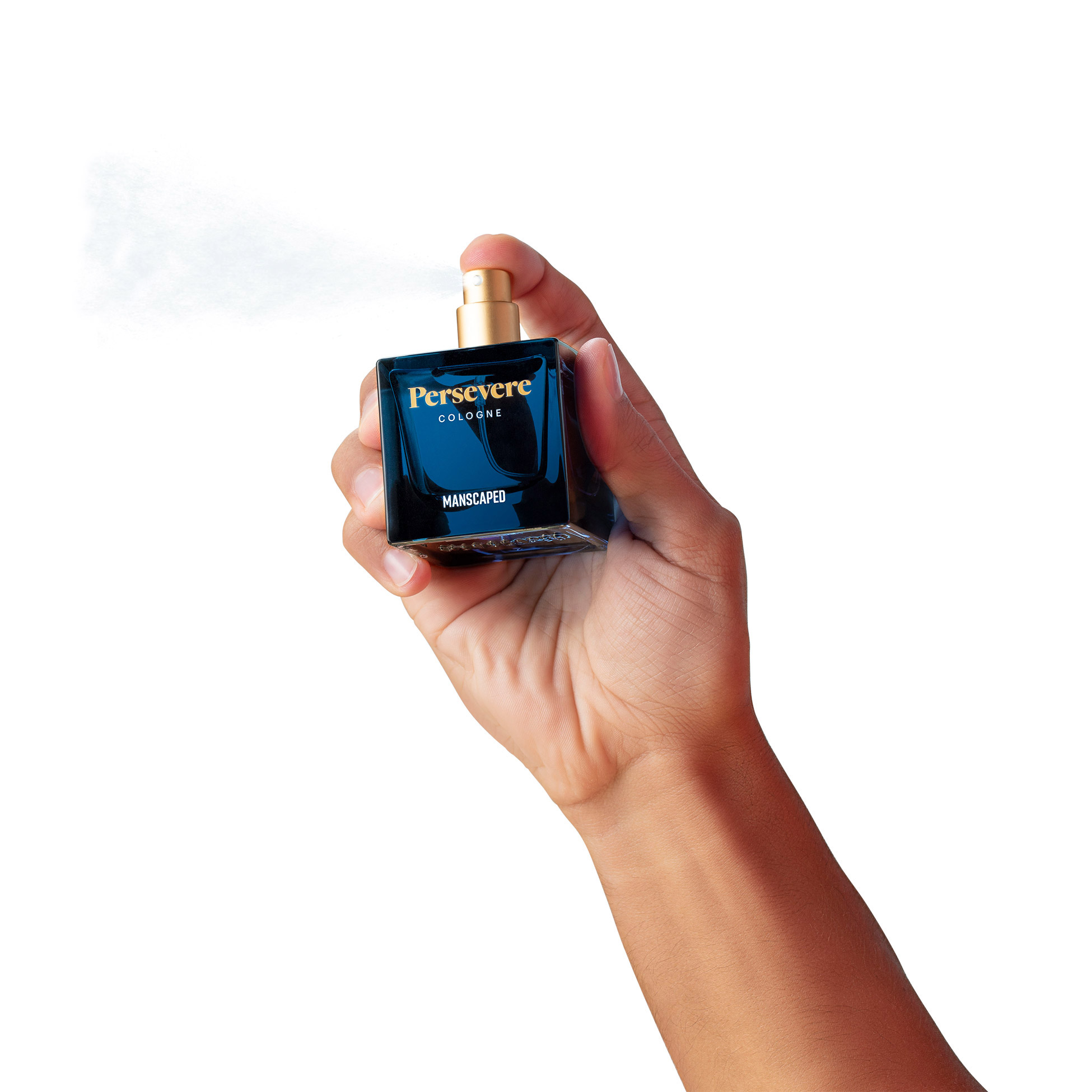 Enlarge Product Preview 3 Successfully Enriched by automation Job.