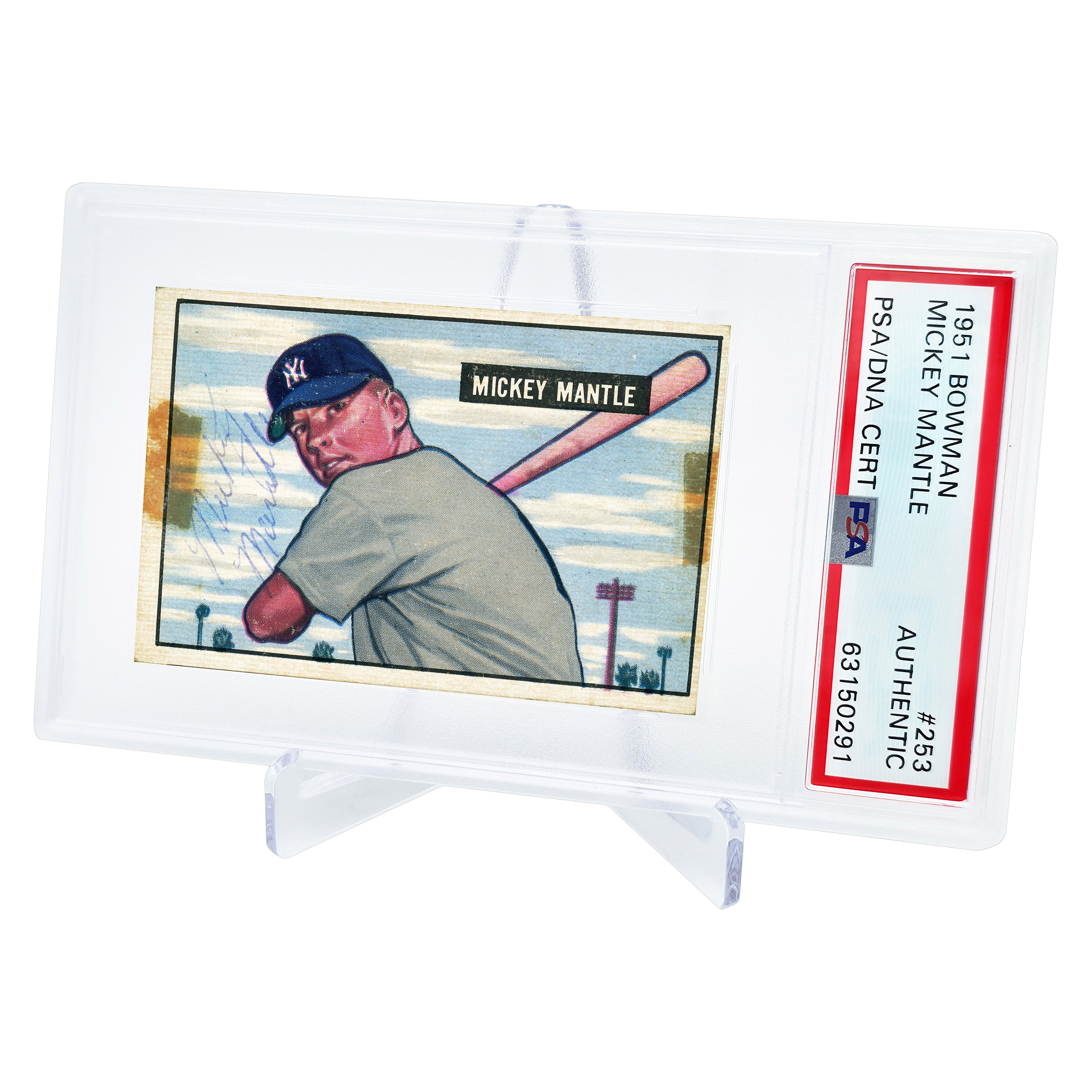 Enlarge Product Preview 5 Successfully Enriched by automation Job.