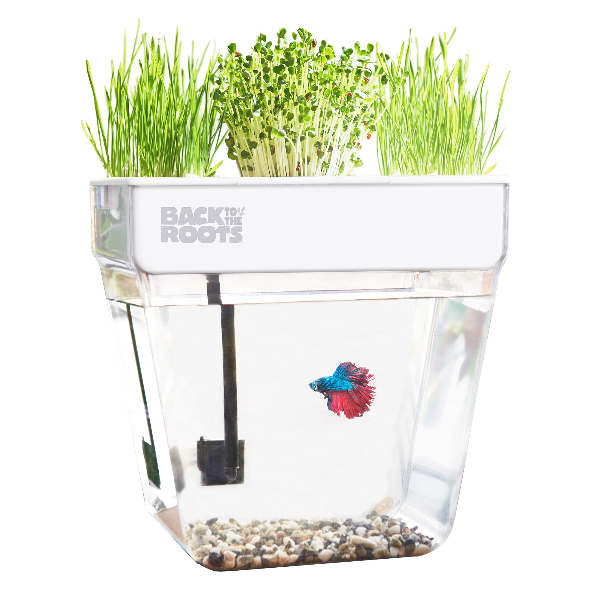 Enlarge Product Preview 2