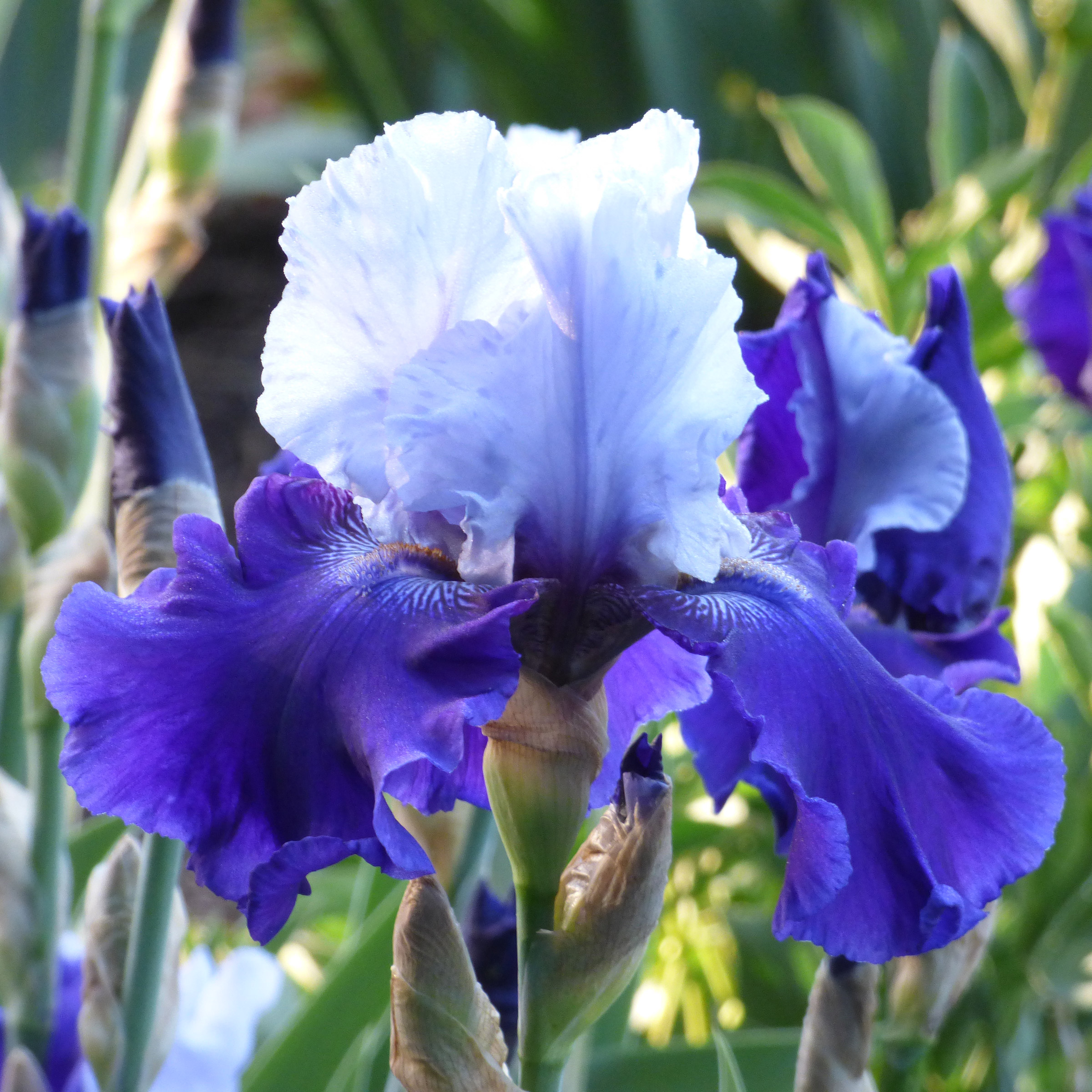 Enlarge Product Preview 3