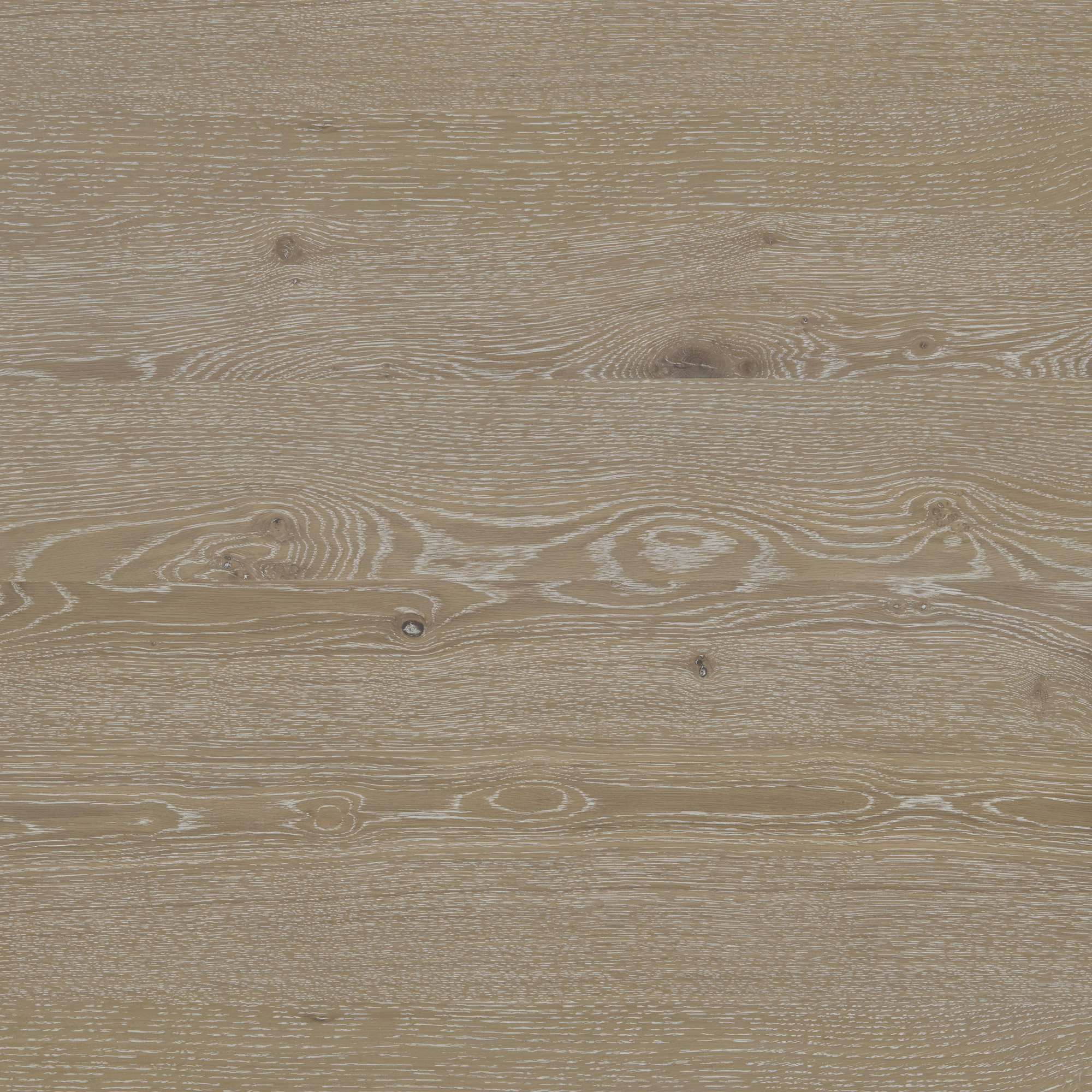 Enlarge Product Preview 7 Successfully Enriched by automation Job.