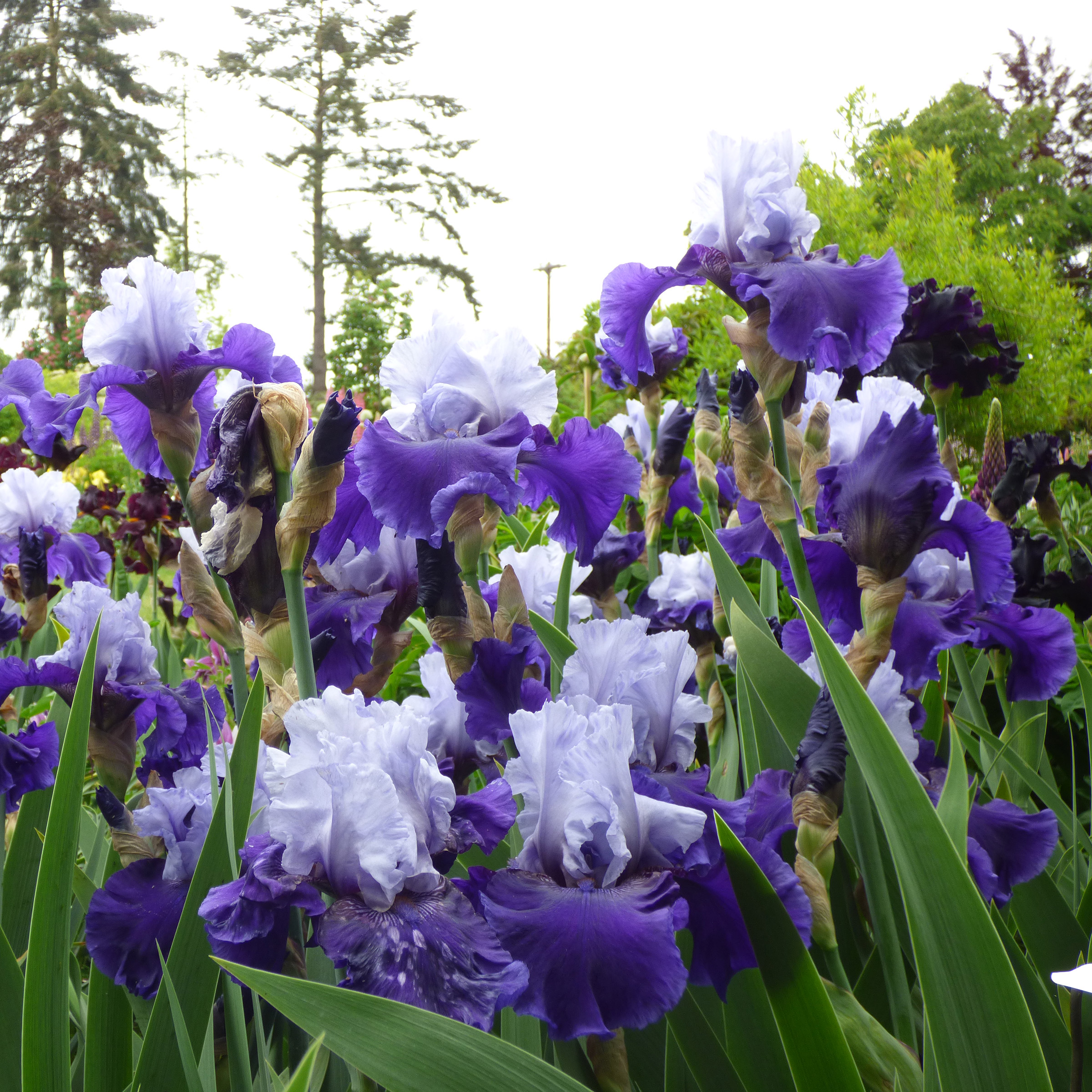 Enlarge Product Preview 5