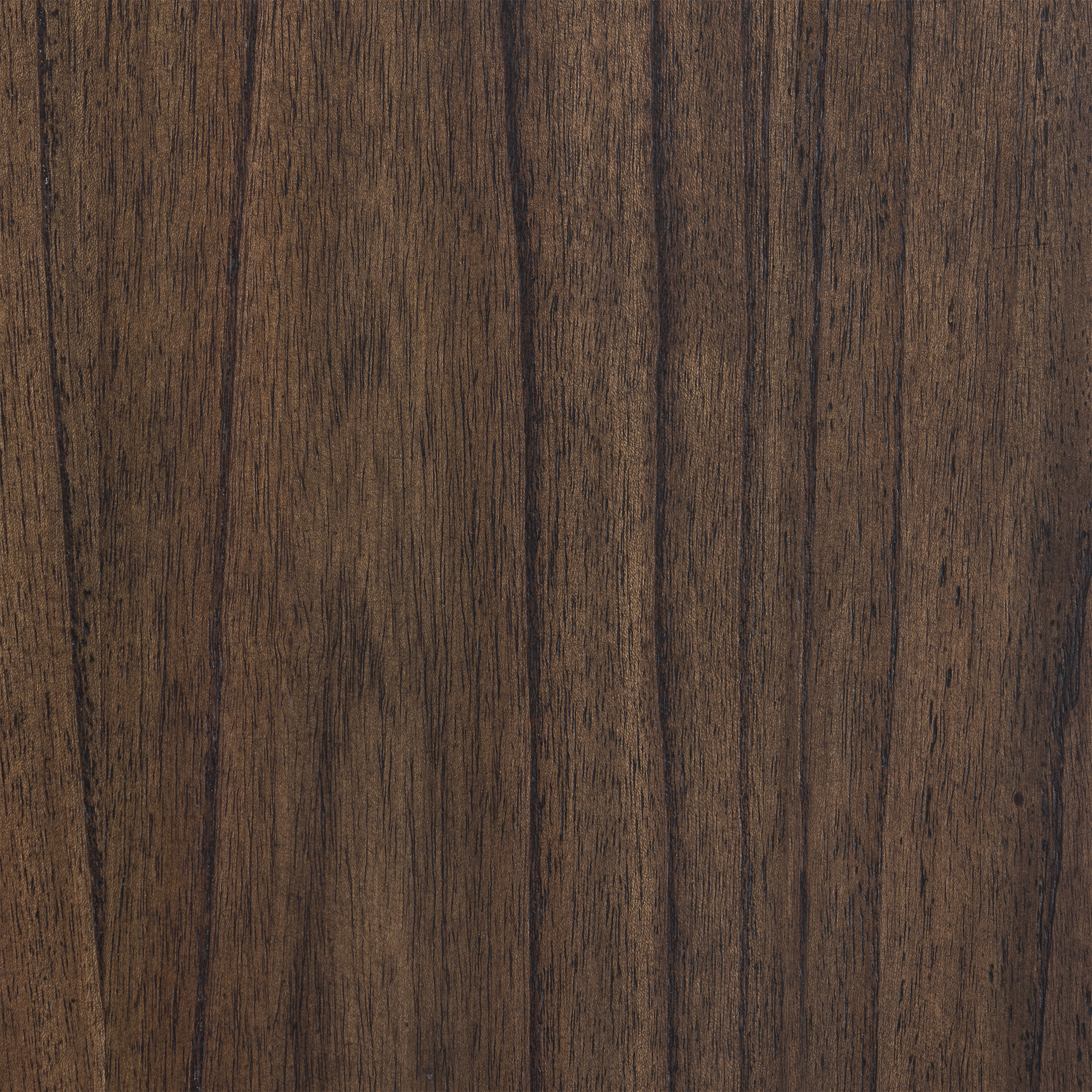 Enlarge Product Preview 8 Successfully Enriched by automation Job.