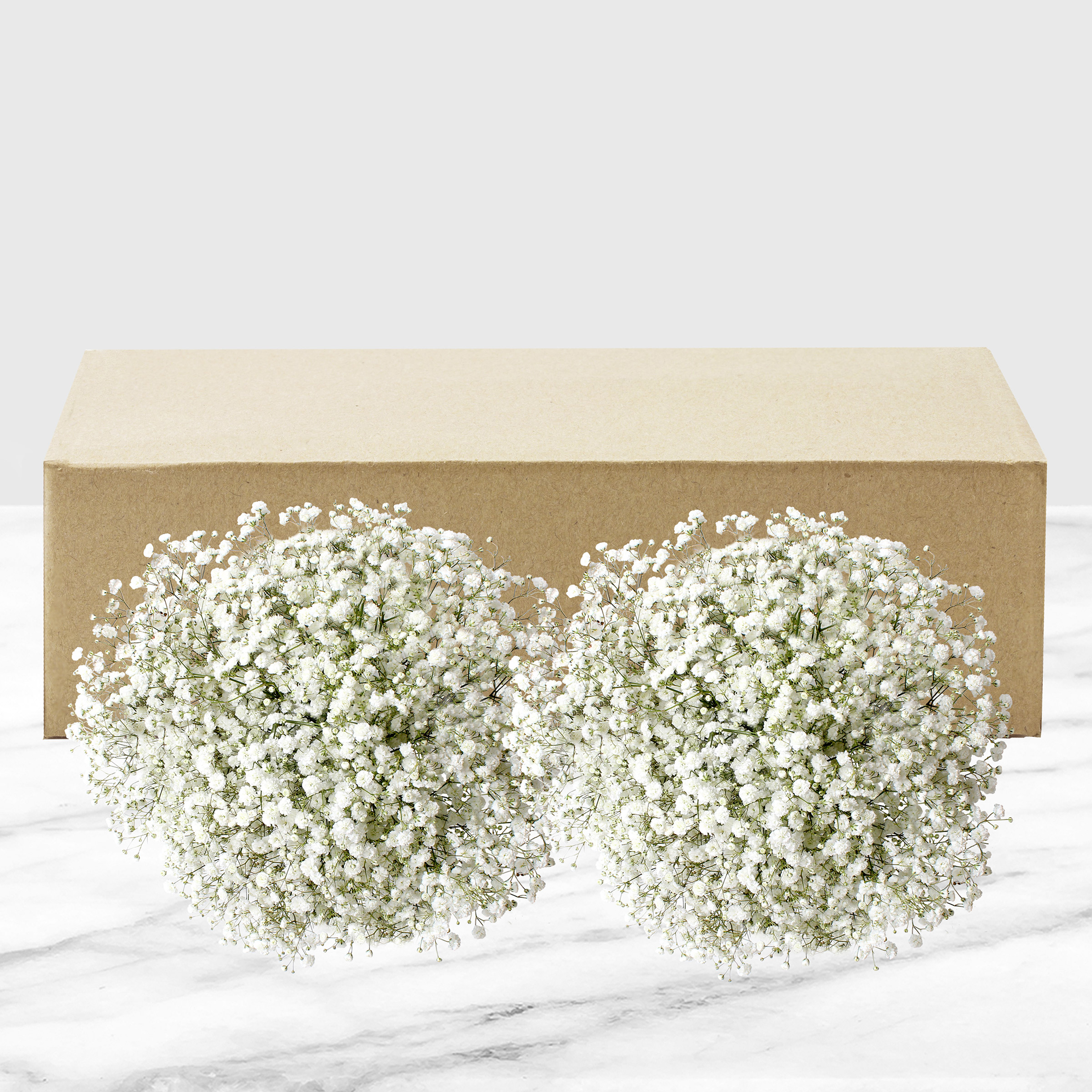 Enlarge Product Preview 2