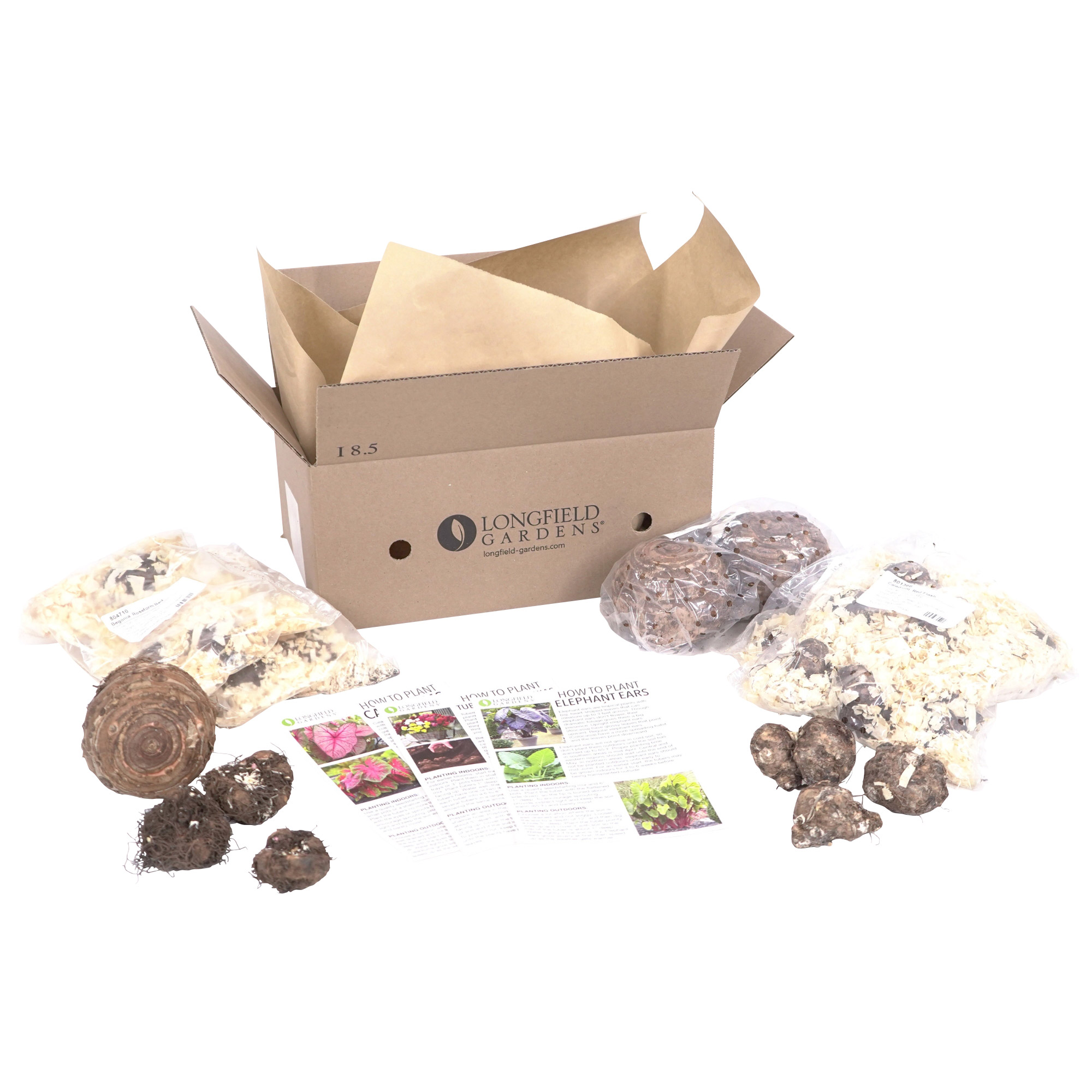 Enlarge Product Preview 7