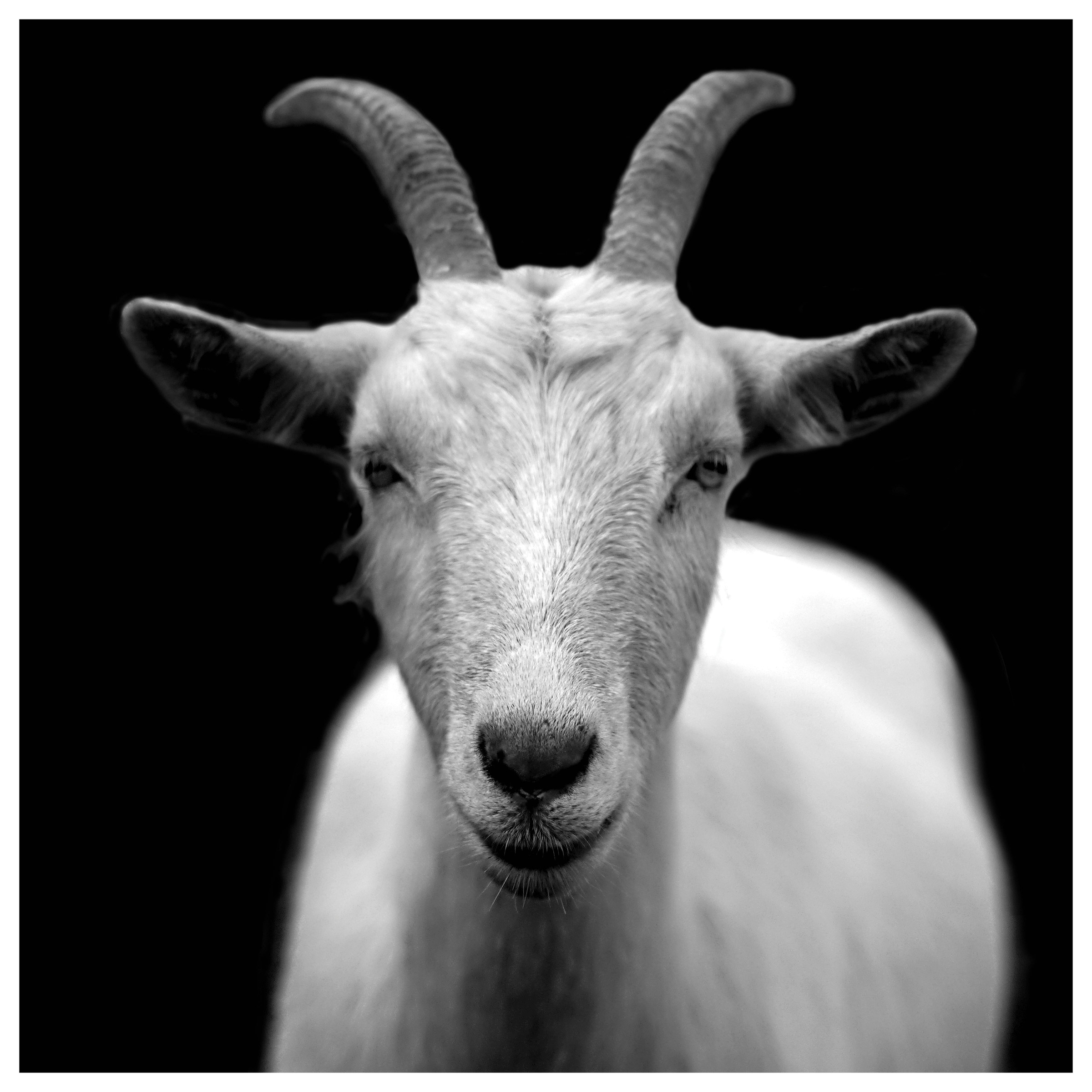 Appollo - Solitude 76 cm x 76 cm (30 in. x 30 in.) Black and White Photography on Canvas