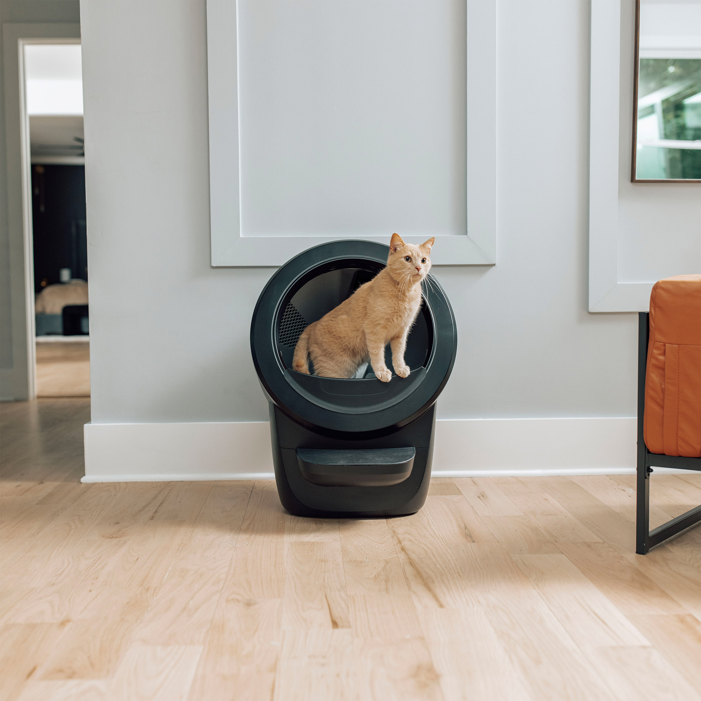 Enlarge Product Preview 6 Successfully Enriched by automation Job.