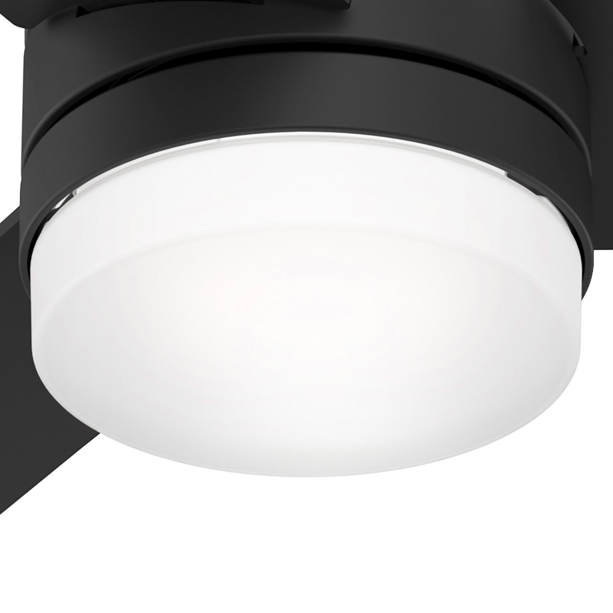 Enlarge Product Preview 7