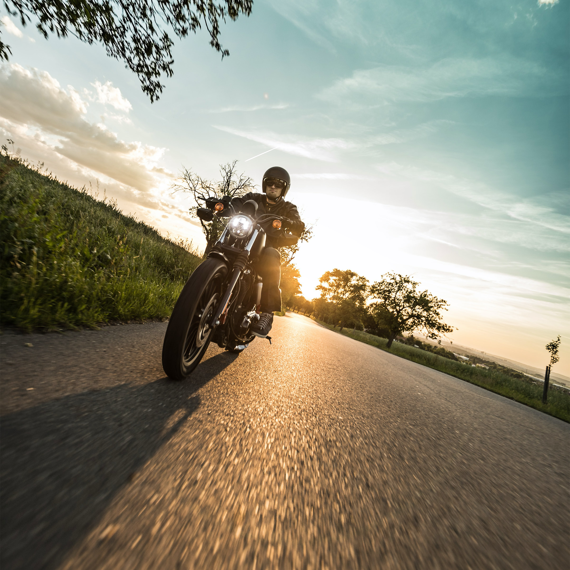 Enlarge Product Preview 5